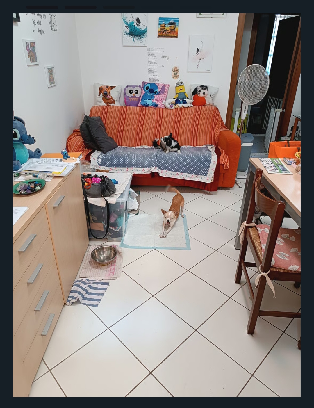 image-16