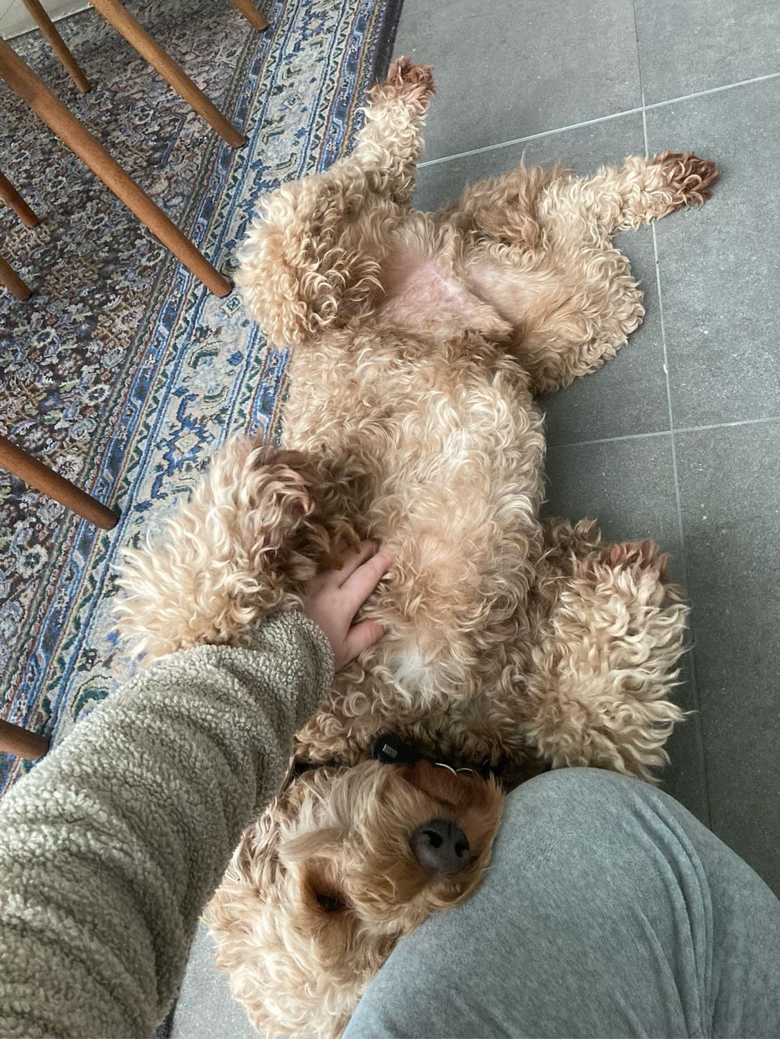 image-6