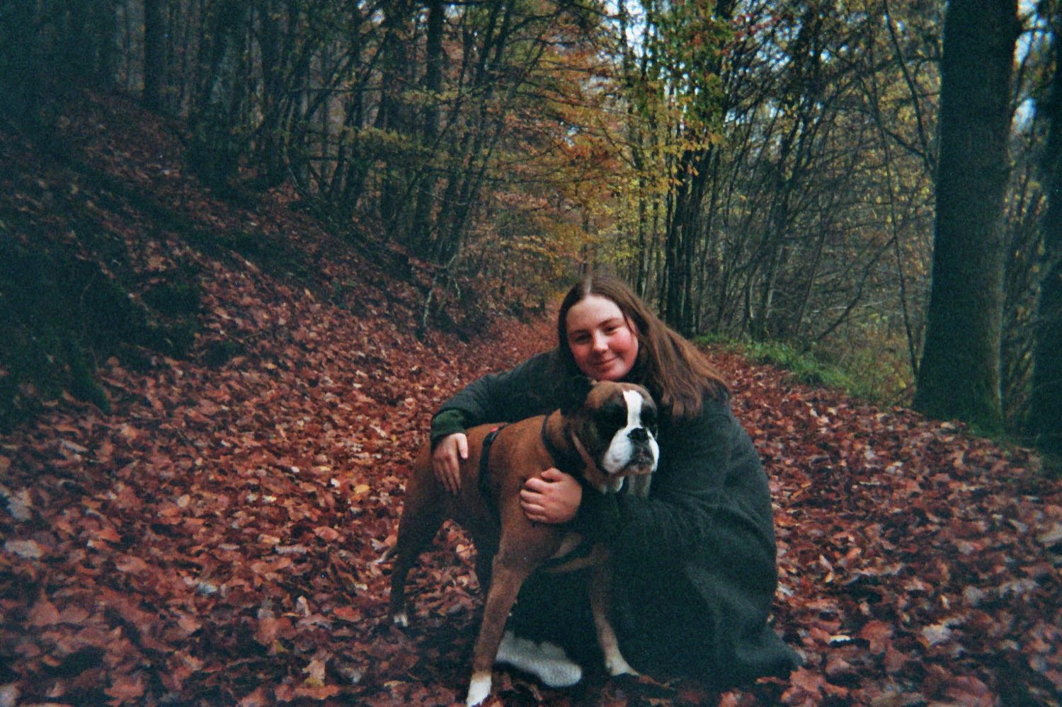 image-5