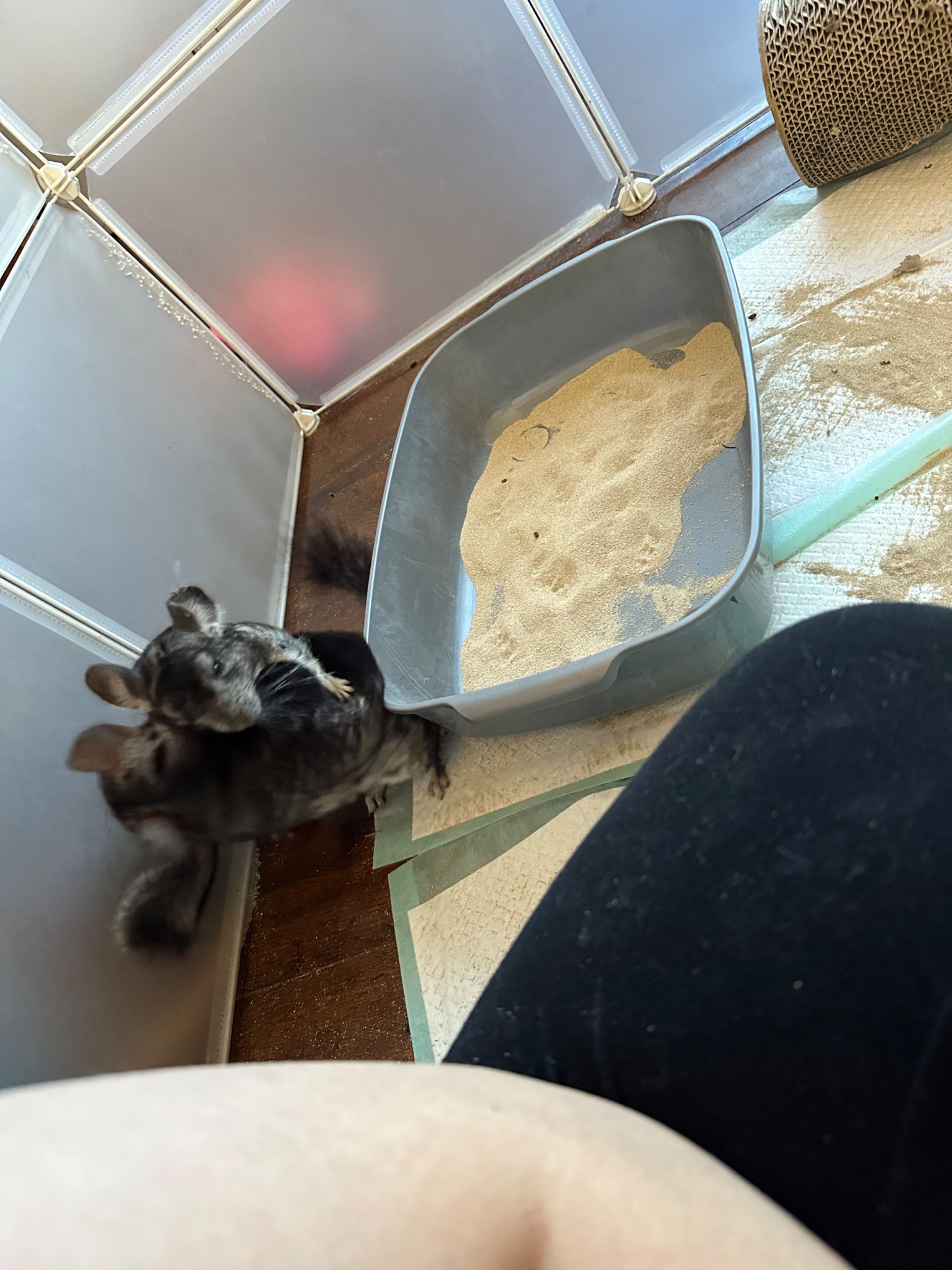 image-3