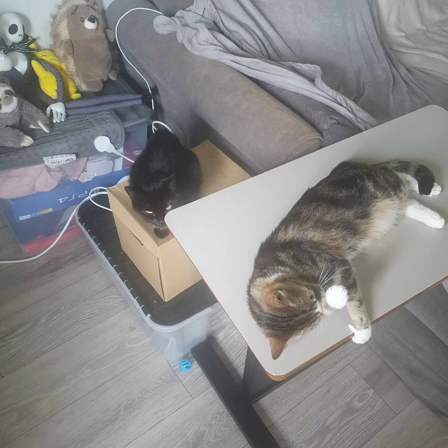image-16