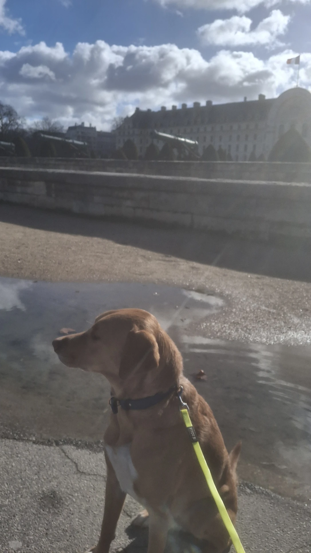 image-8