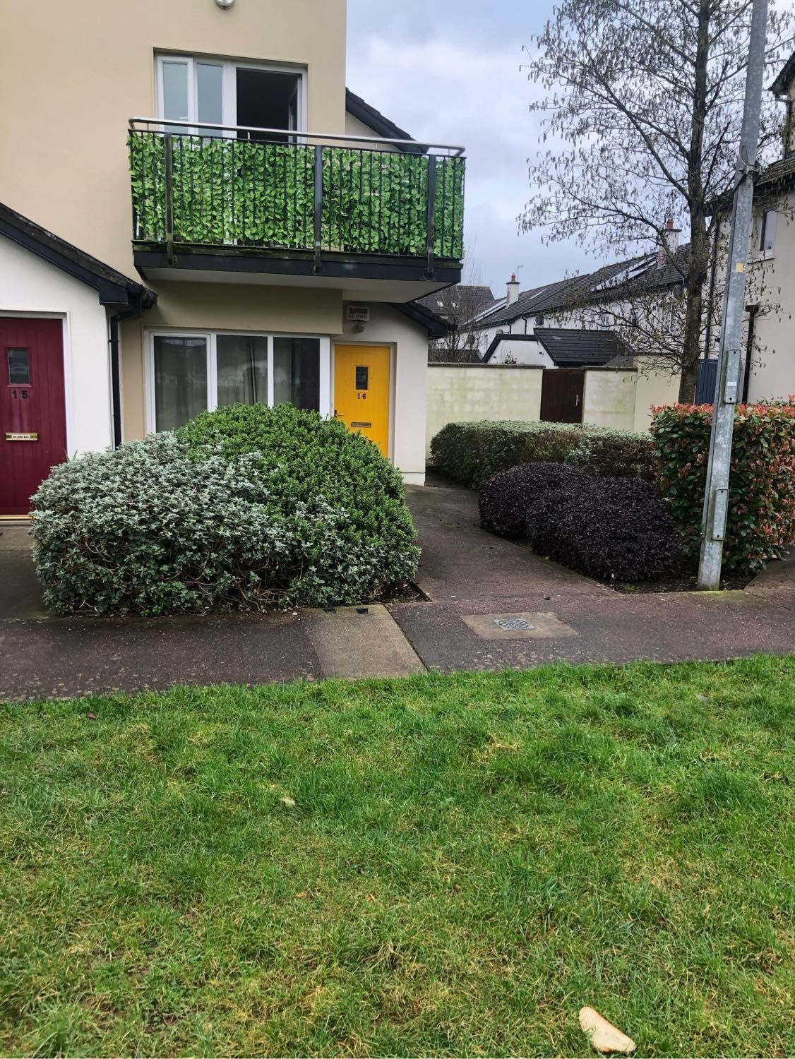 image-15