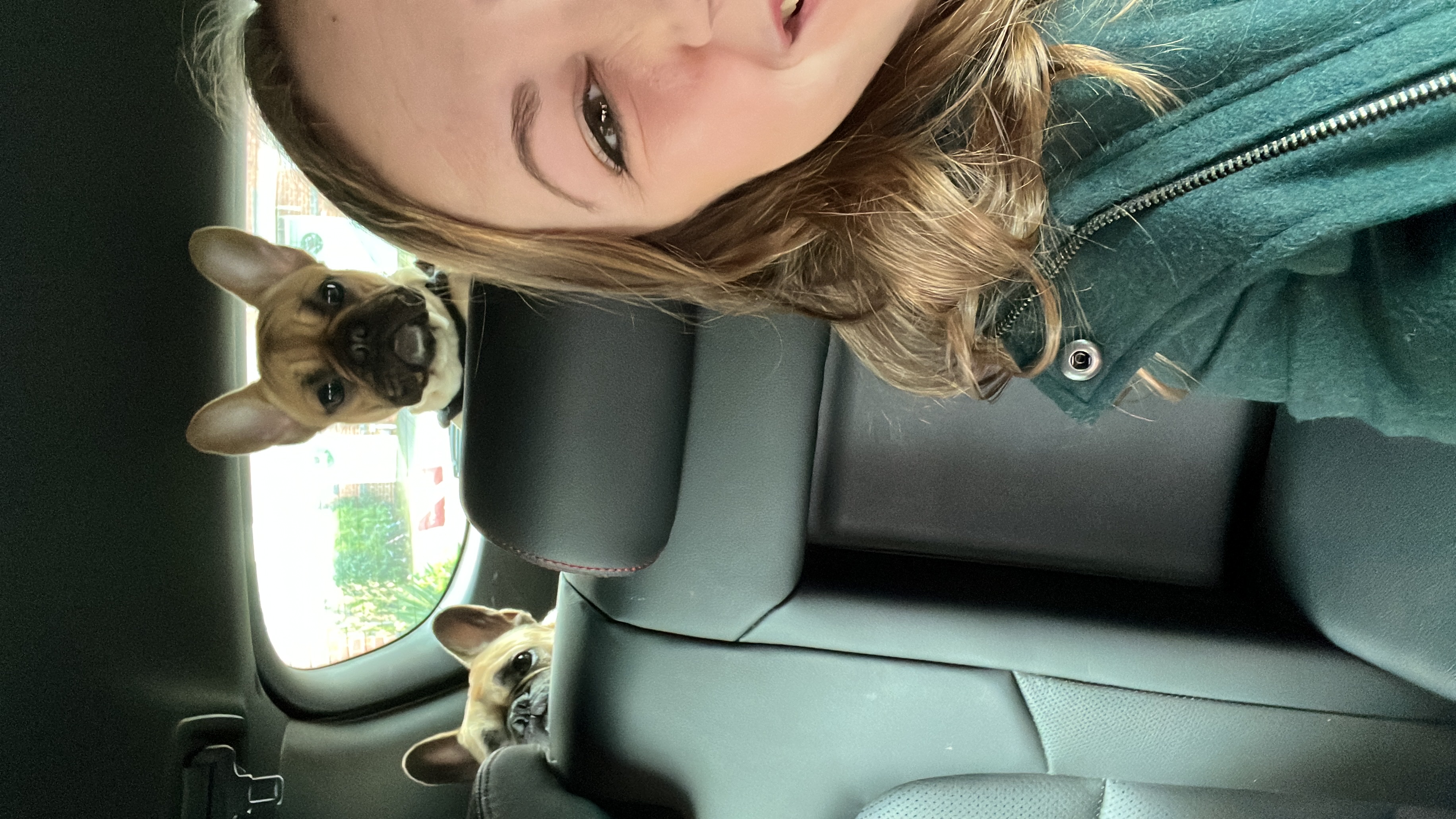 image-7