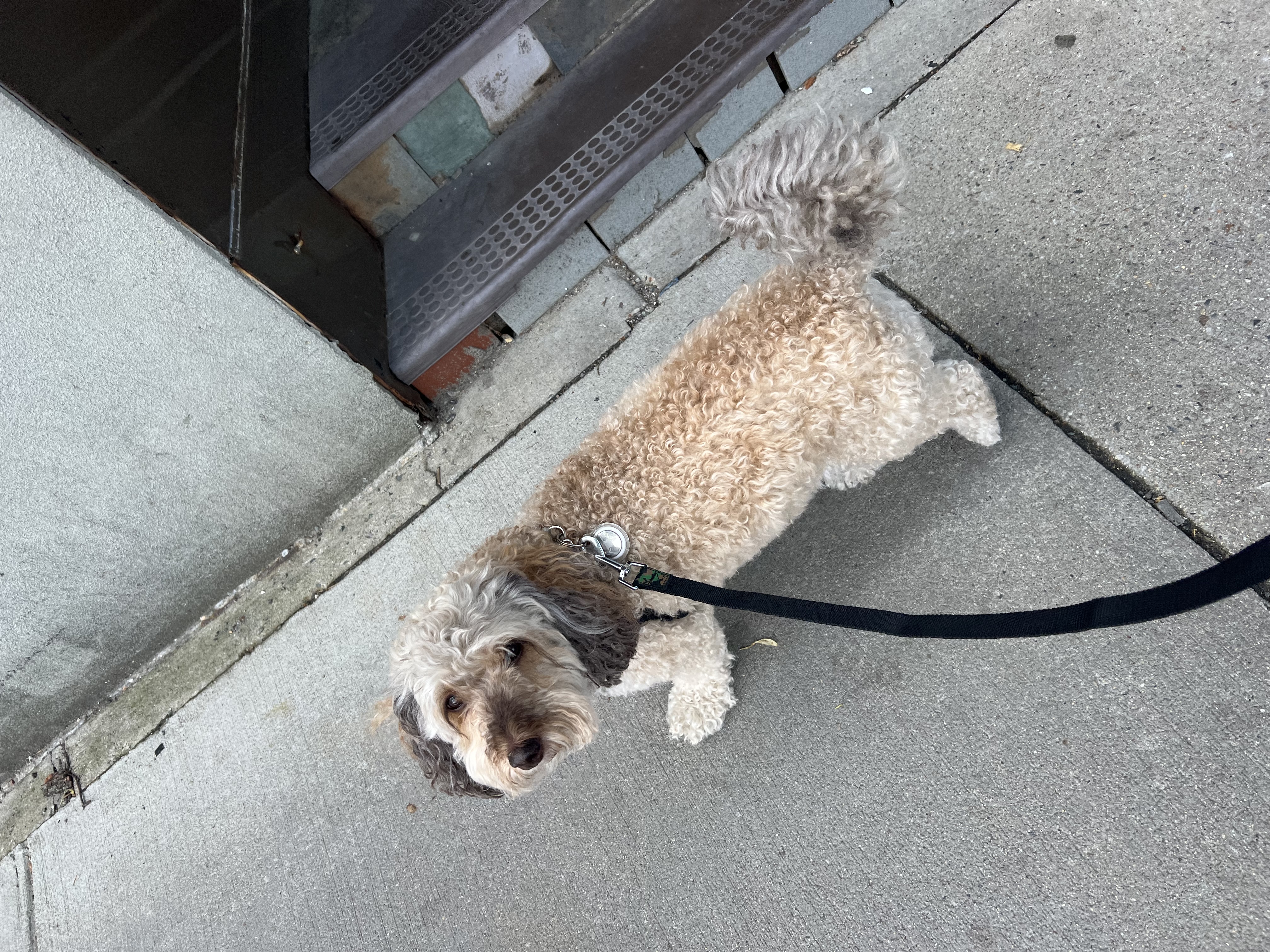 image-10