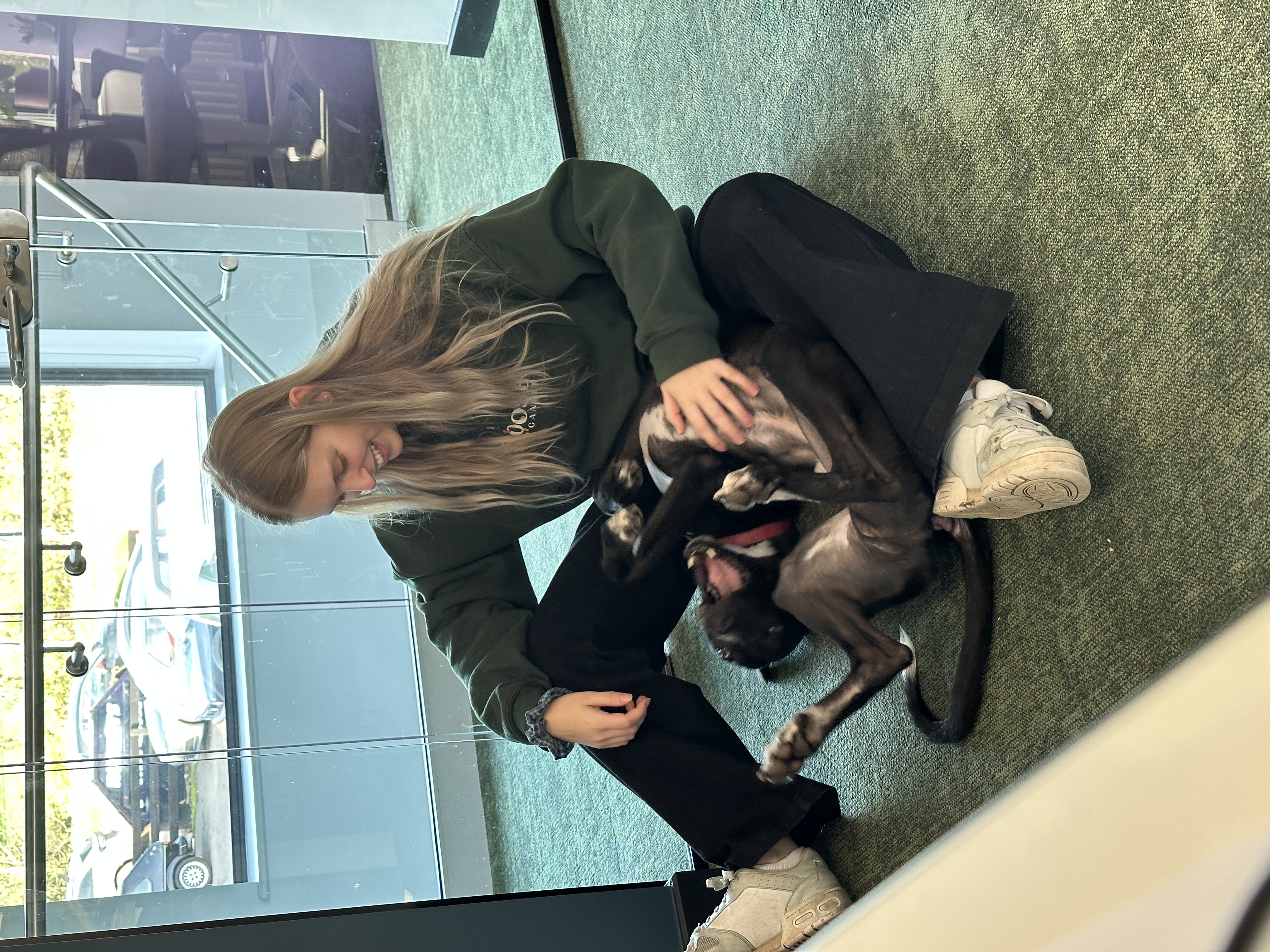 image-6