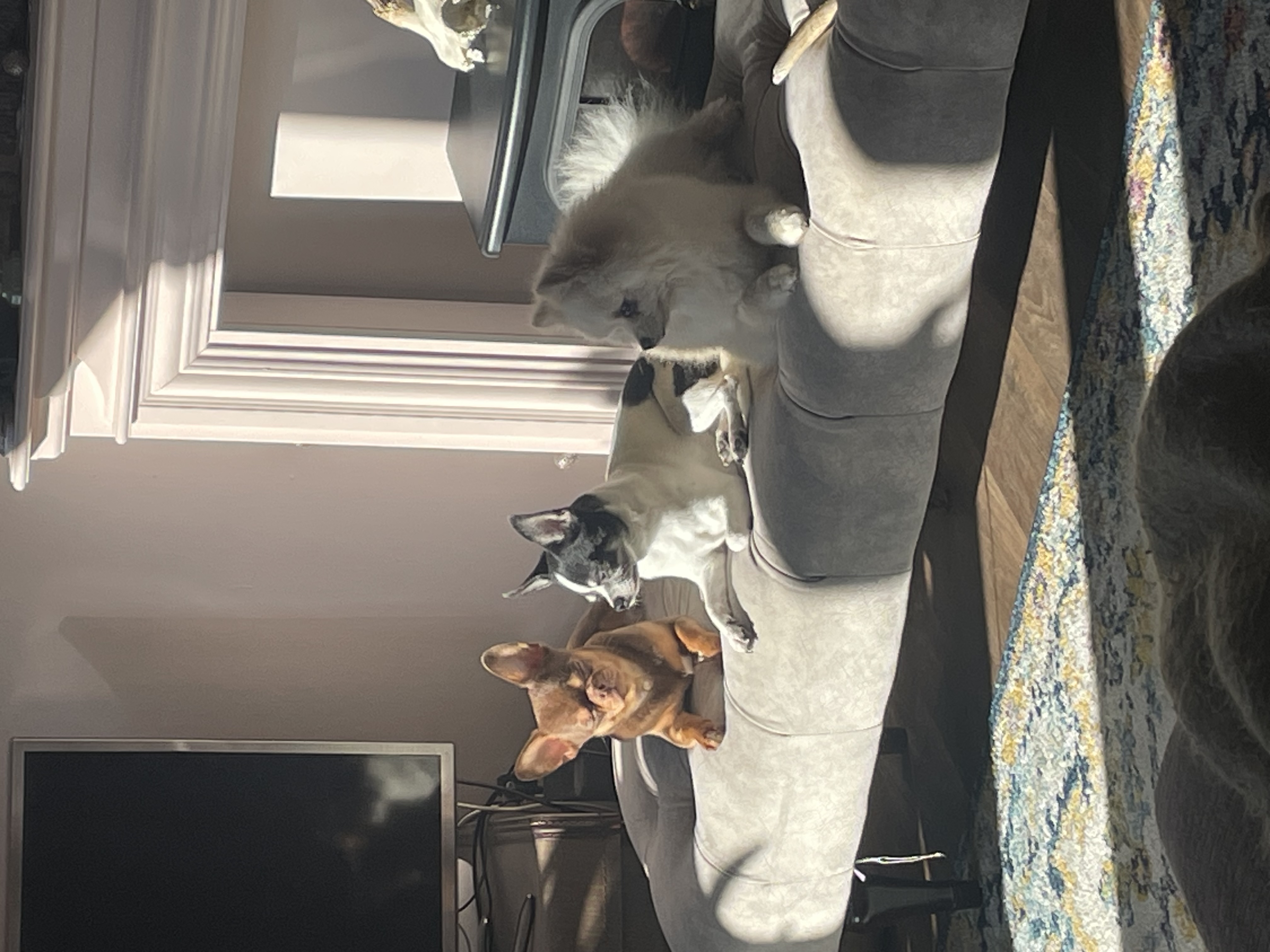 image-18