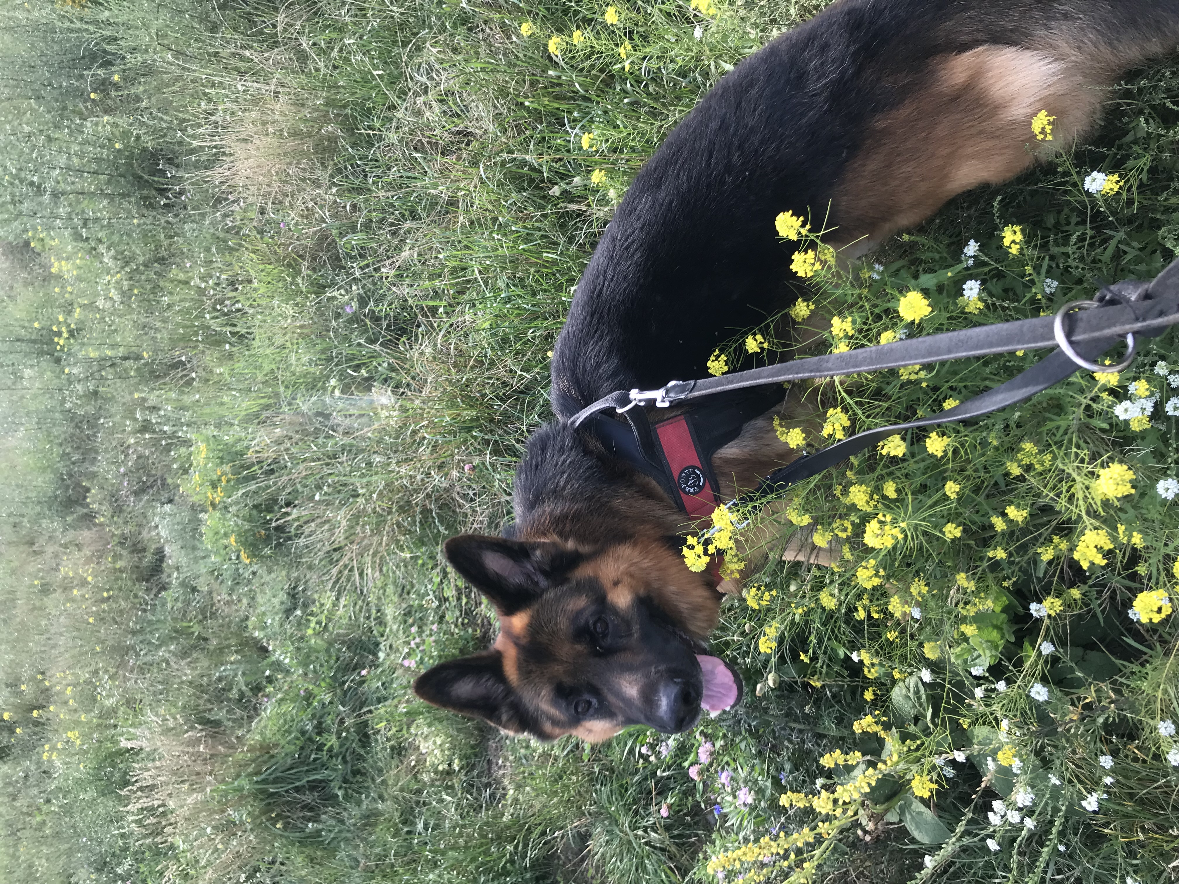 image-9
