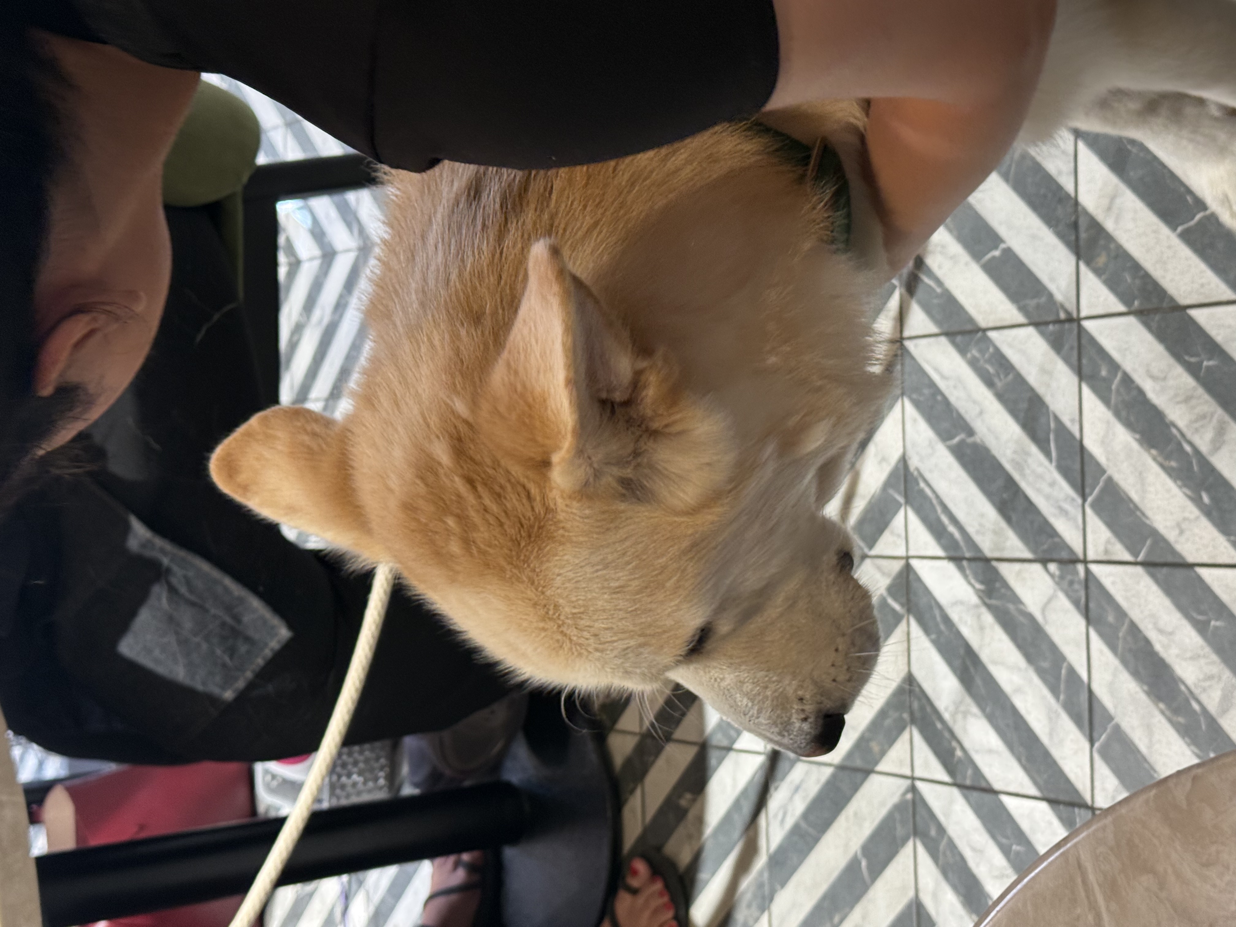 image-6