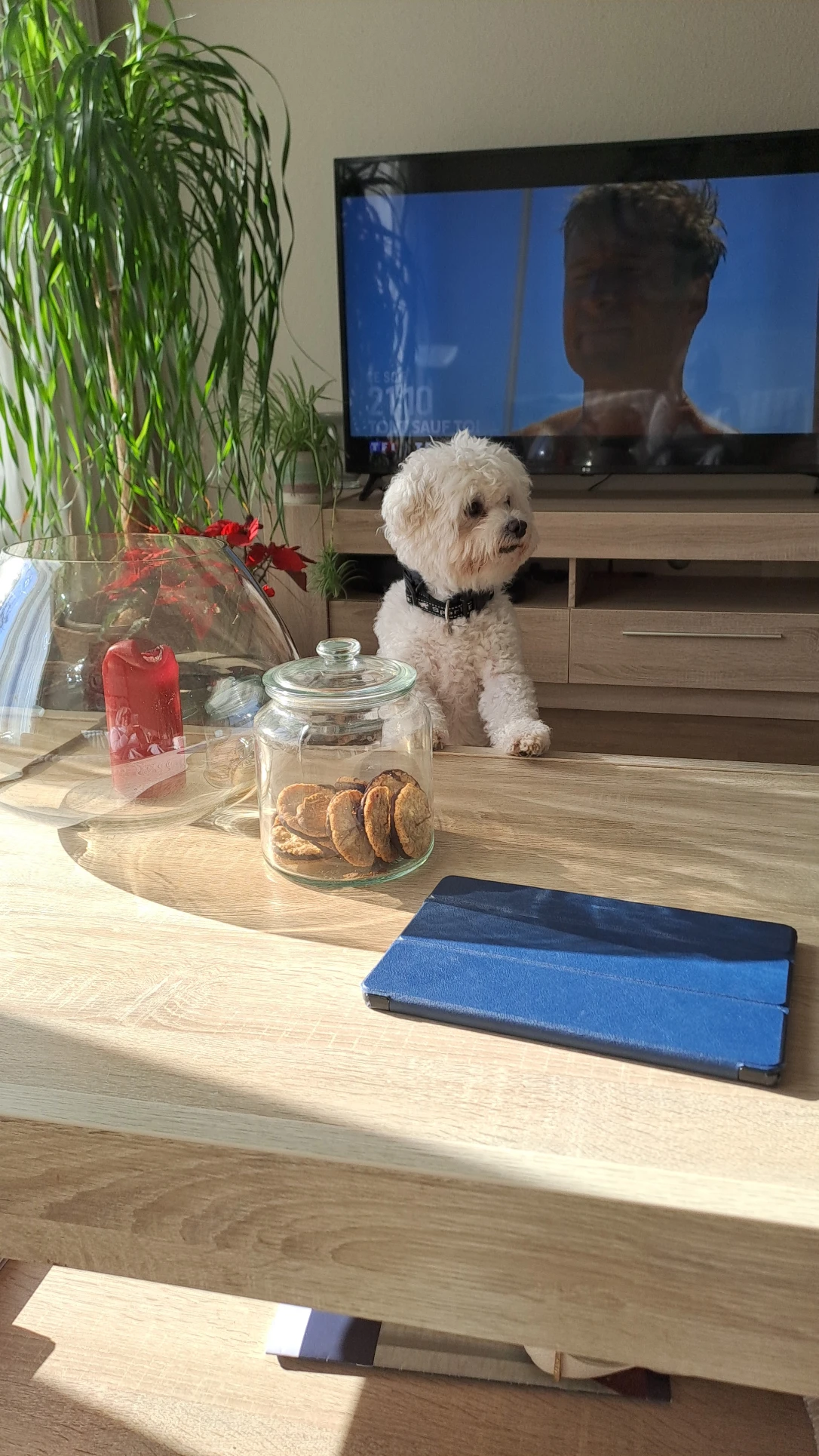 image-14