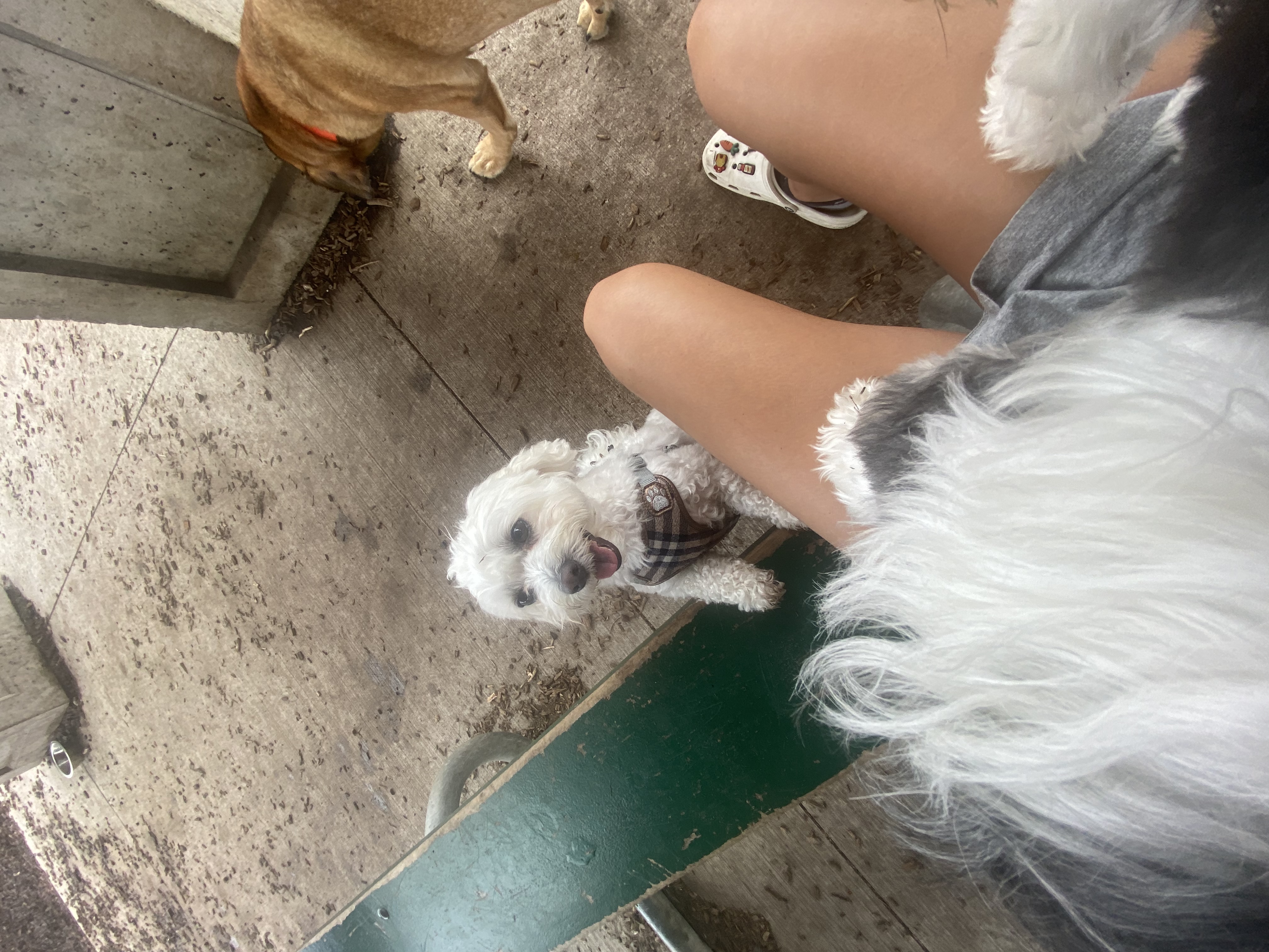 image-12