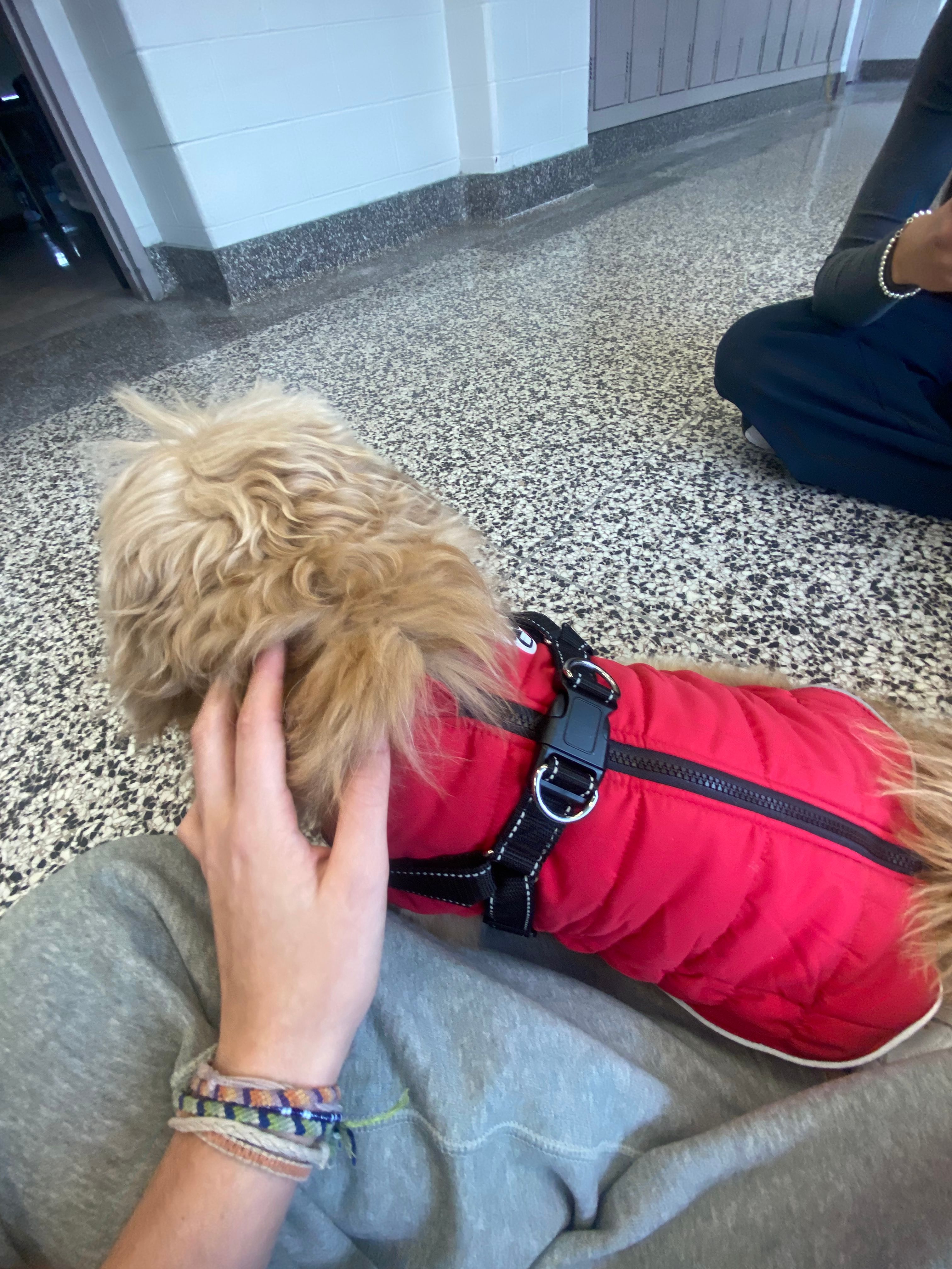 image-11
