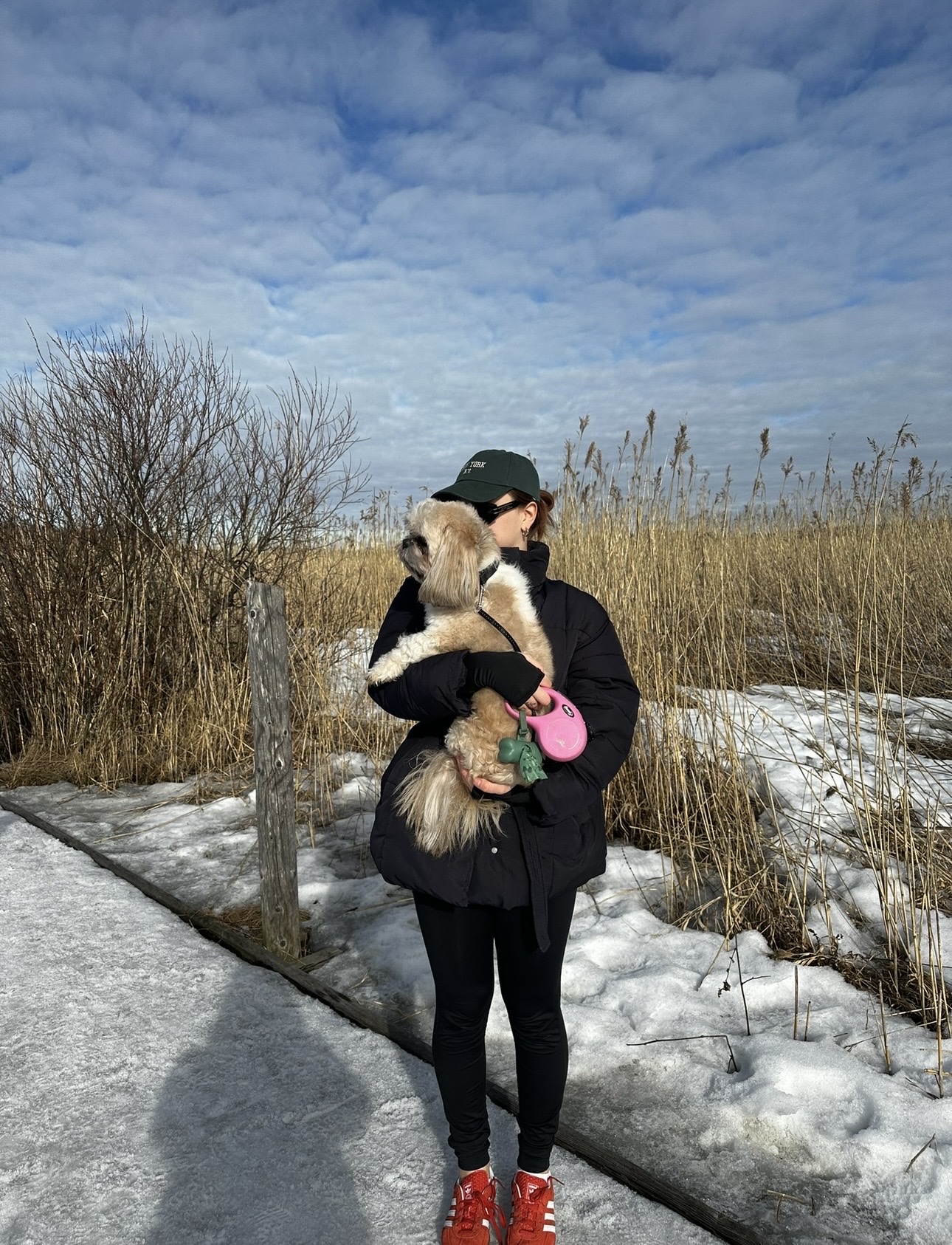 image-8