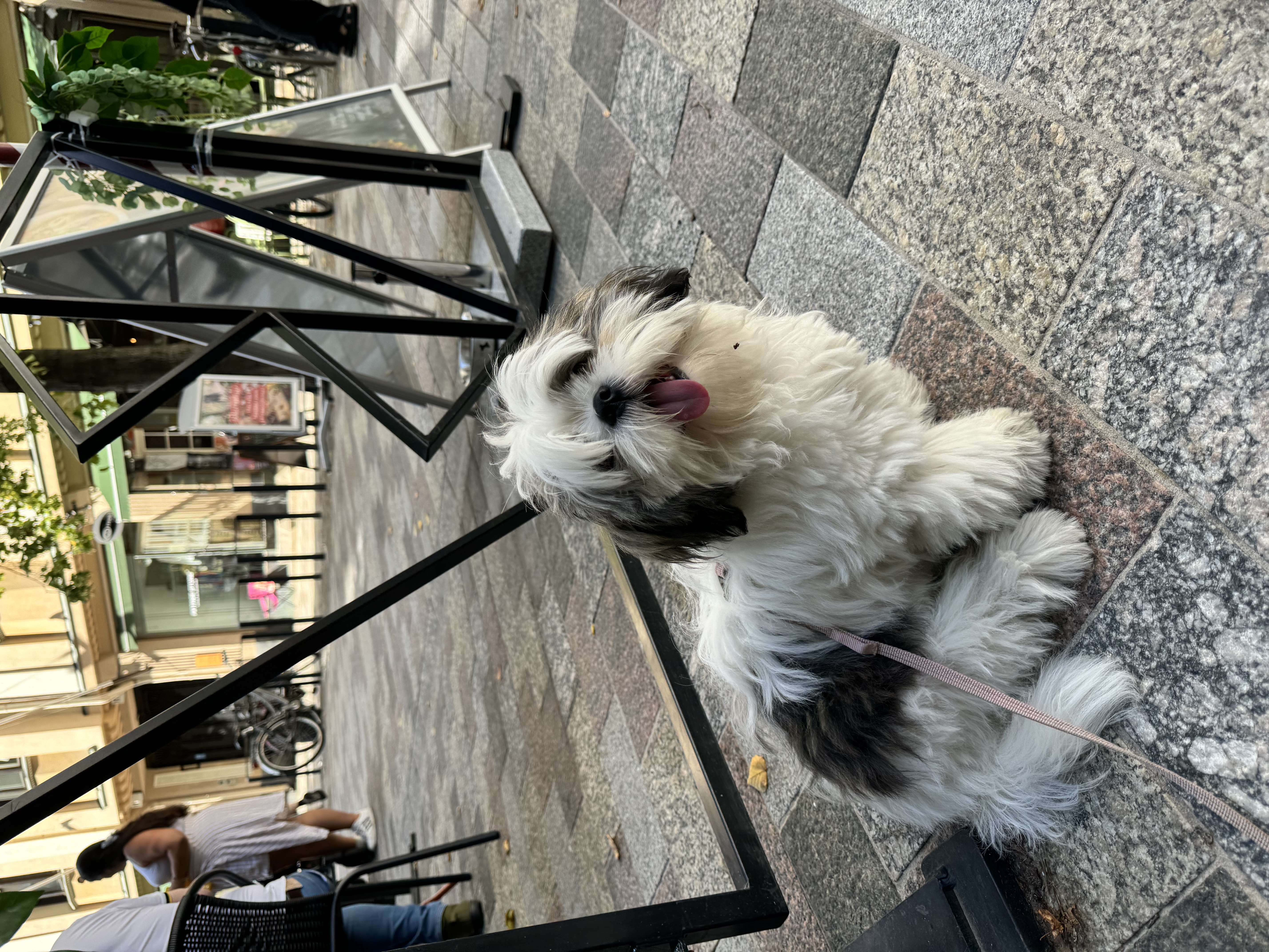 image-3