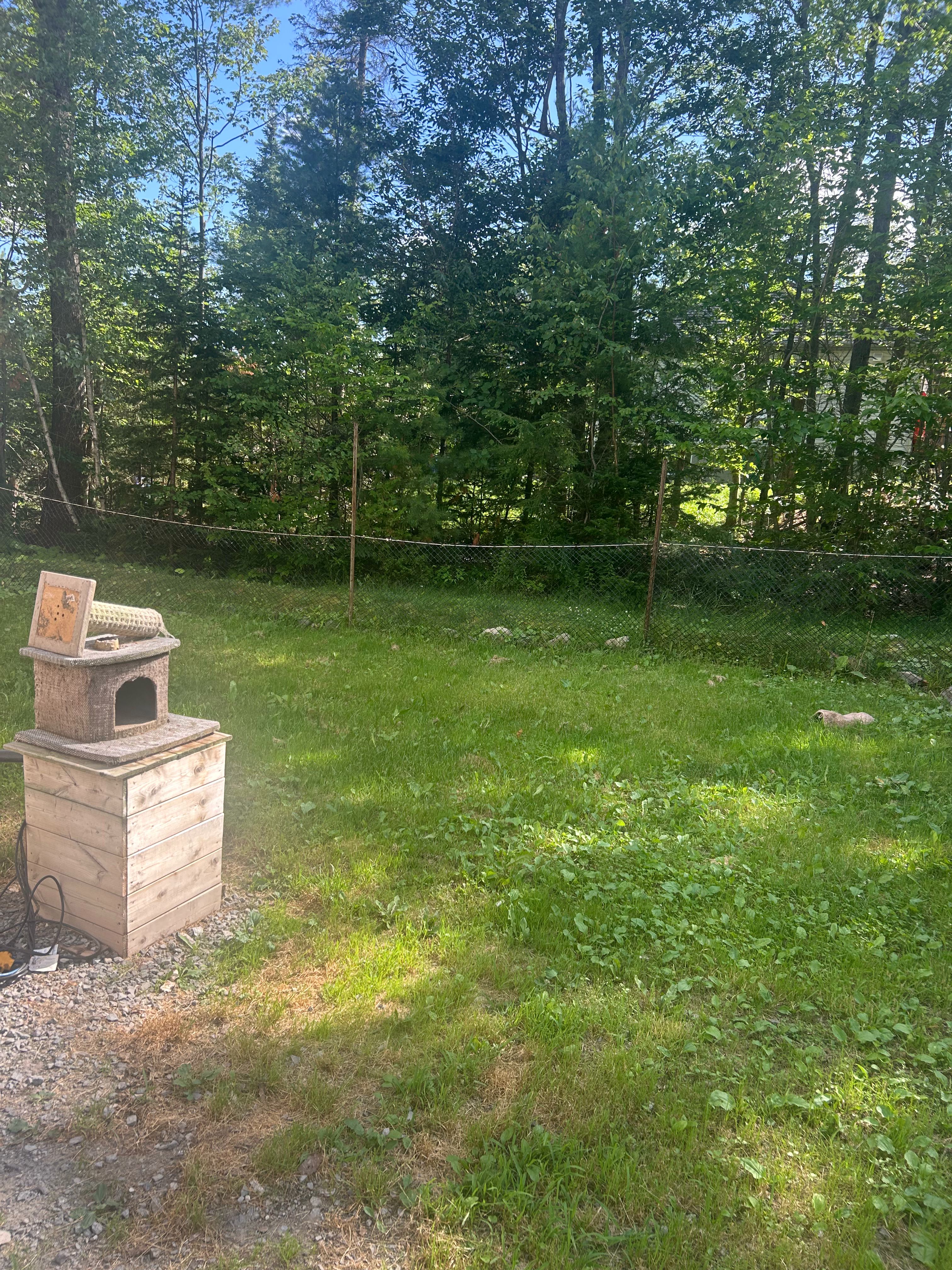 image-14