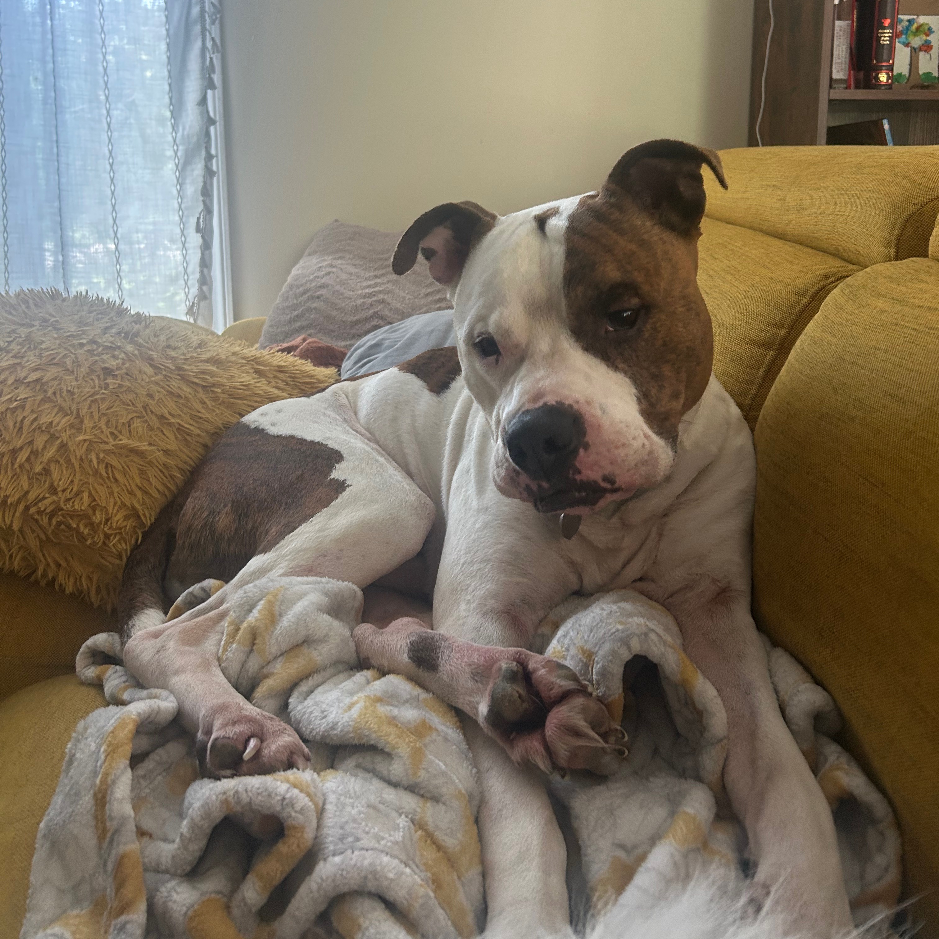 Finn
