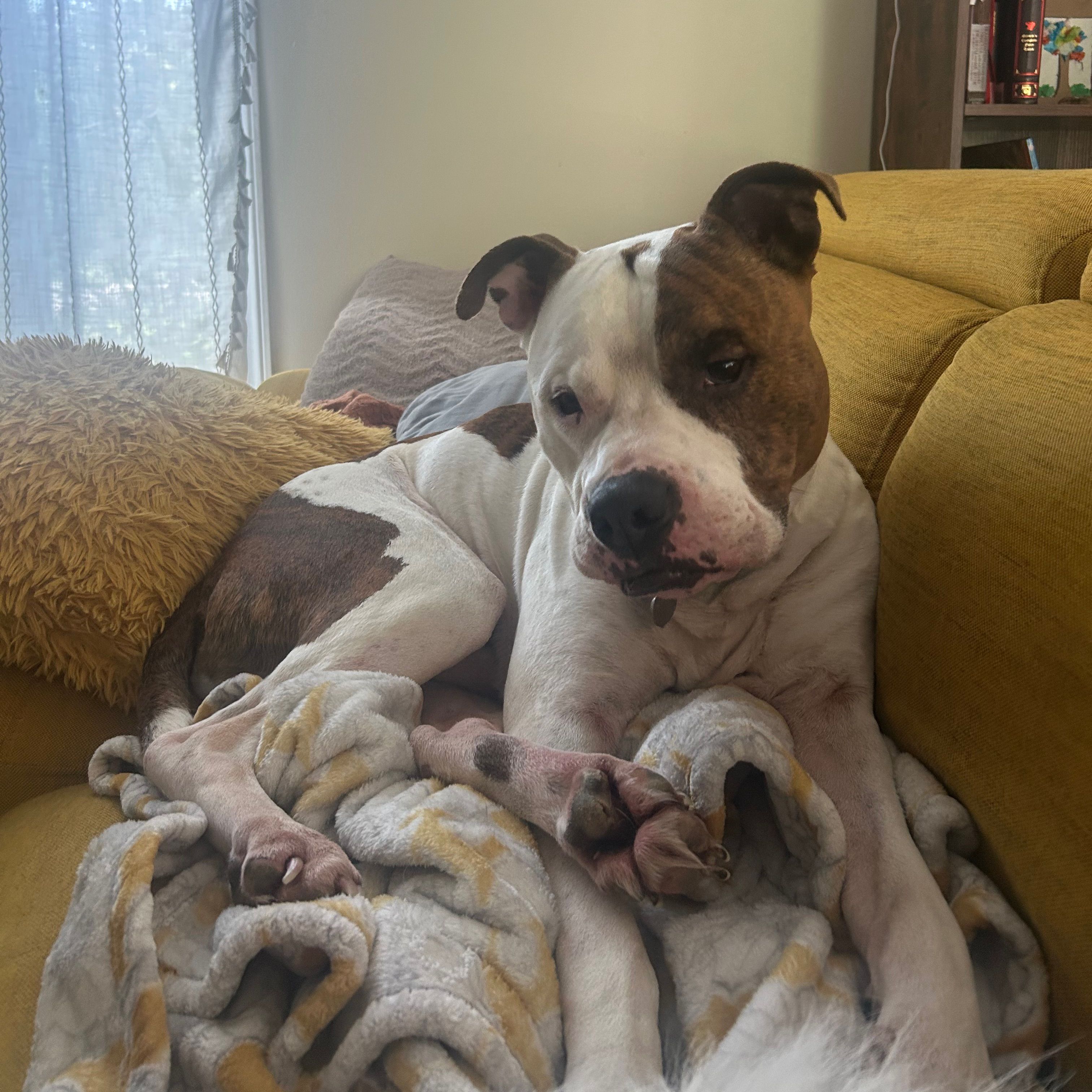 Finn