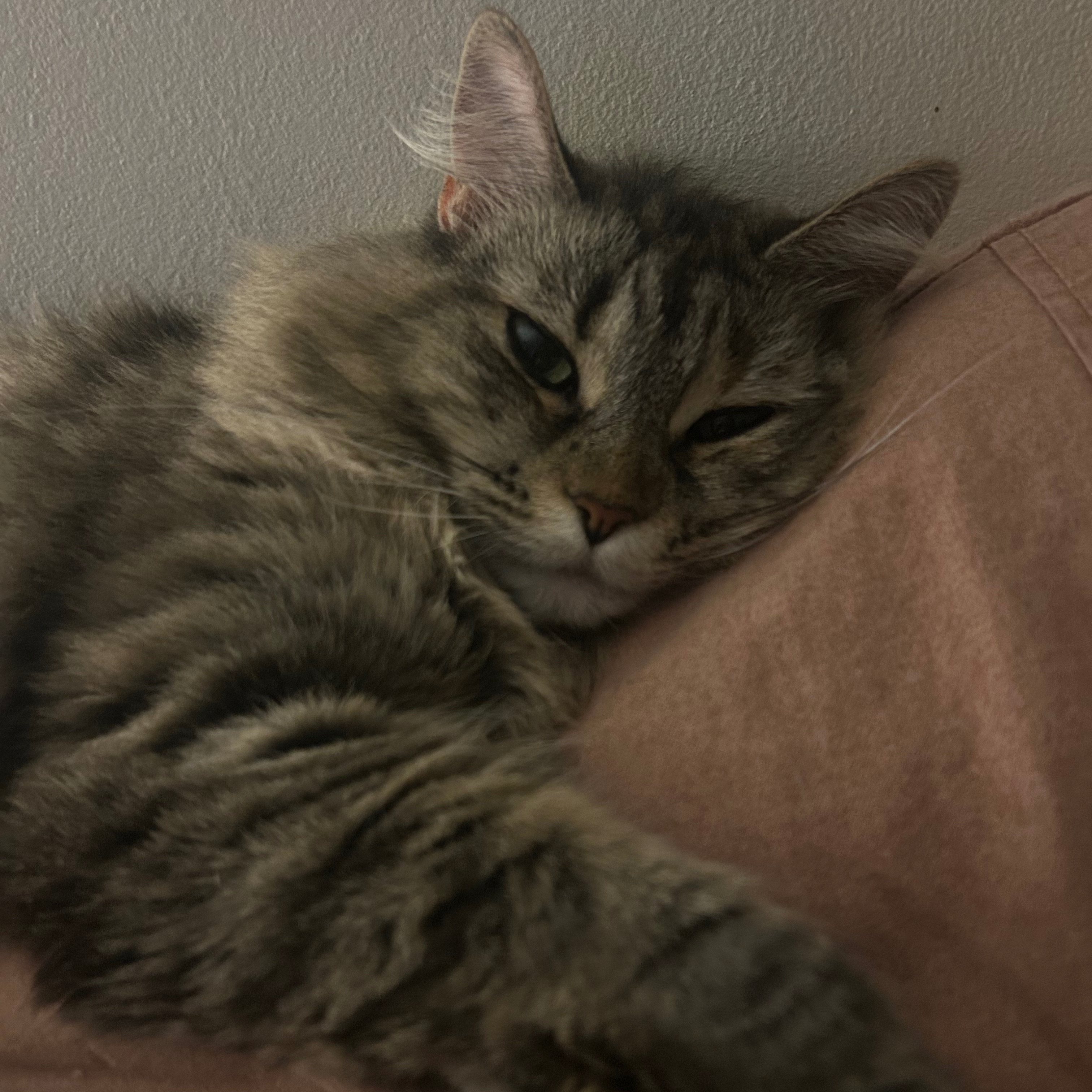 Chloe