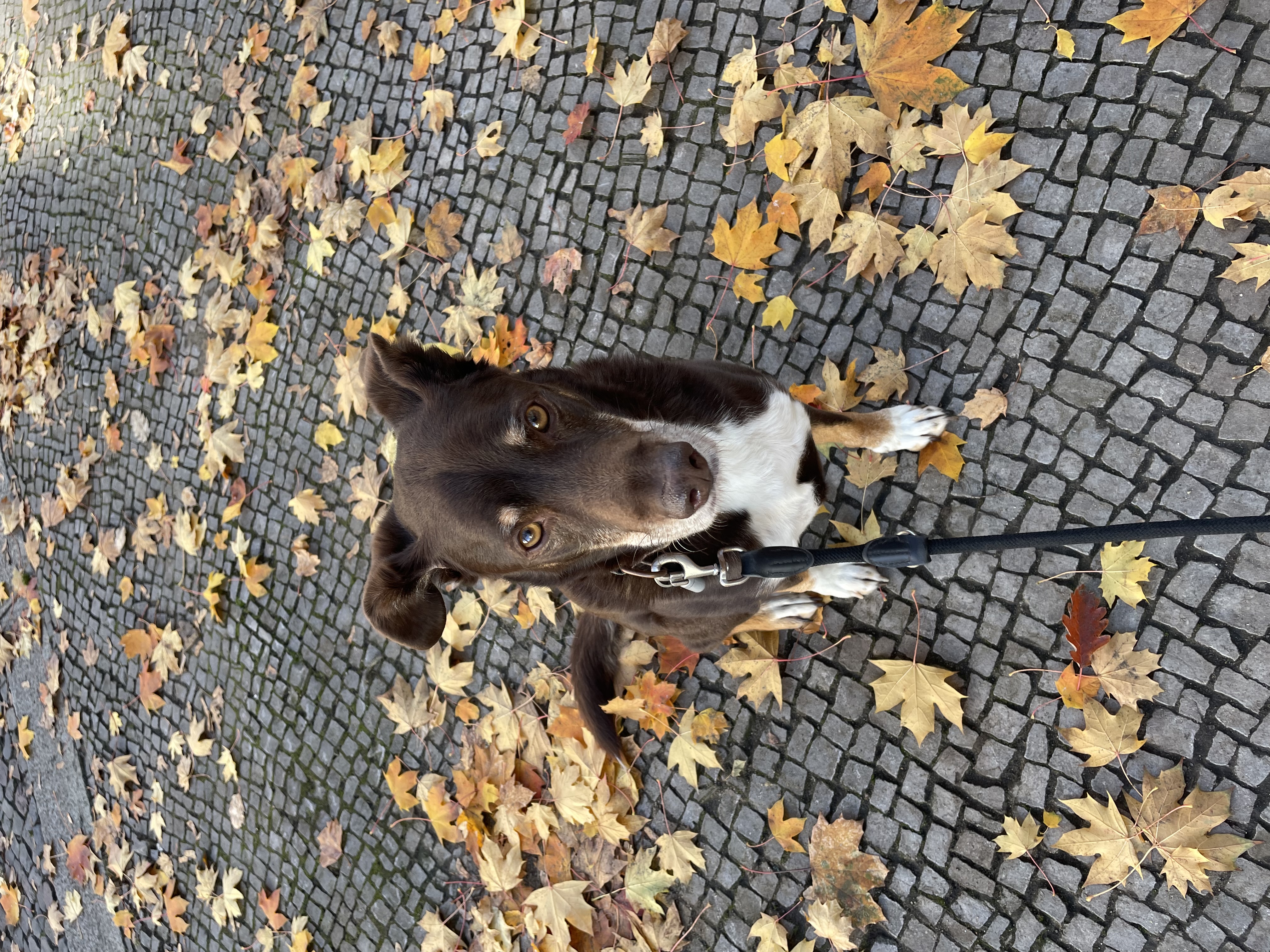 image-15
