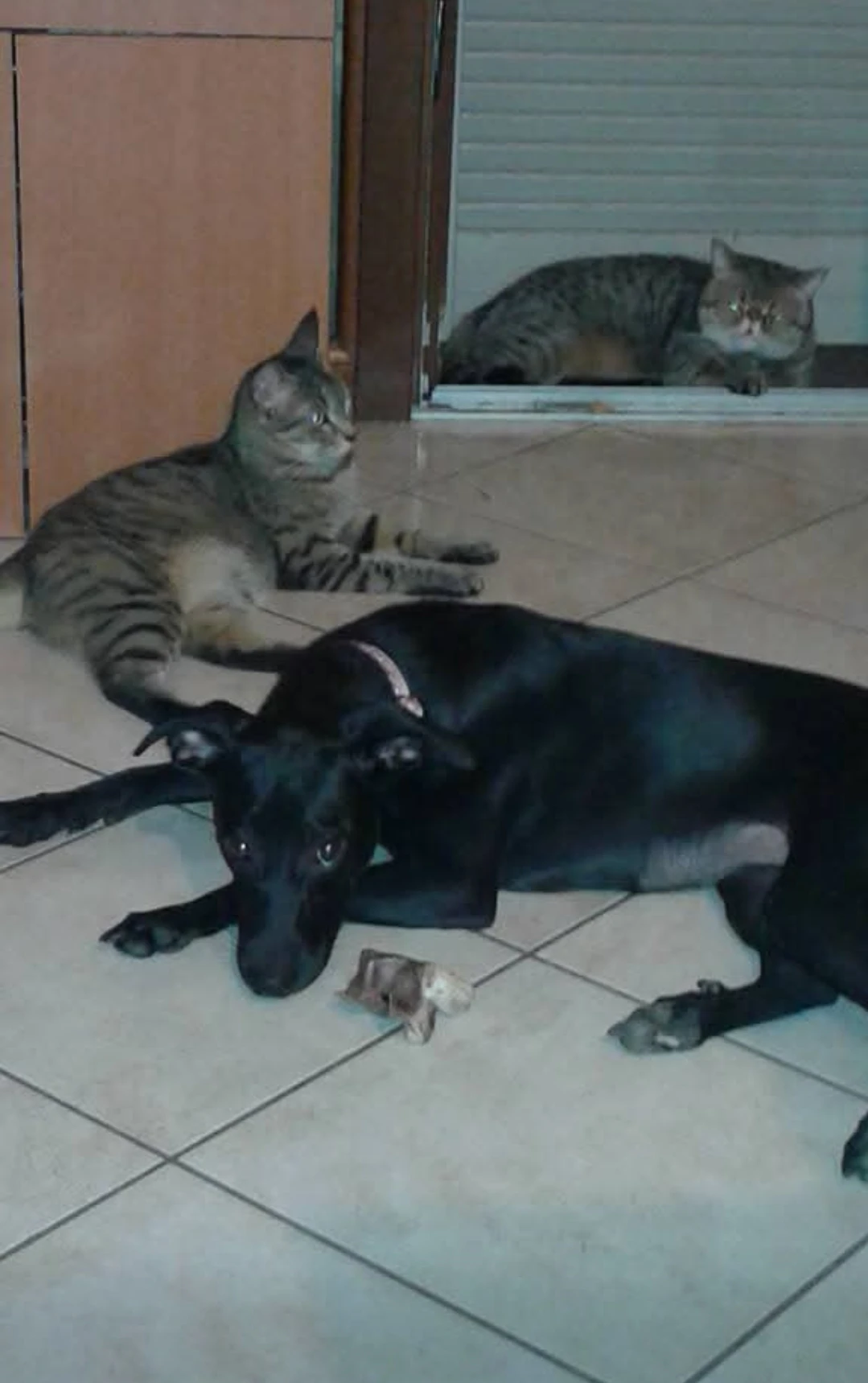 image-21