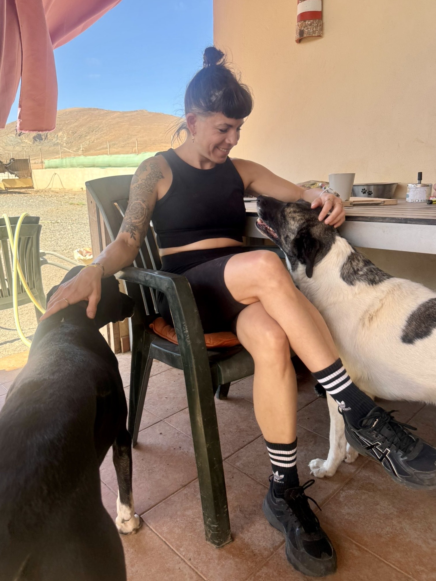 image-12