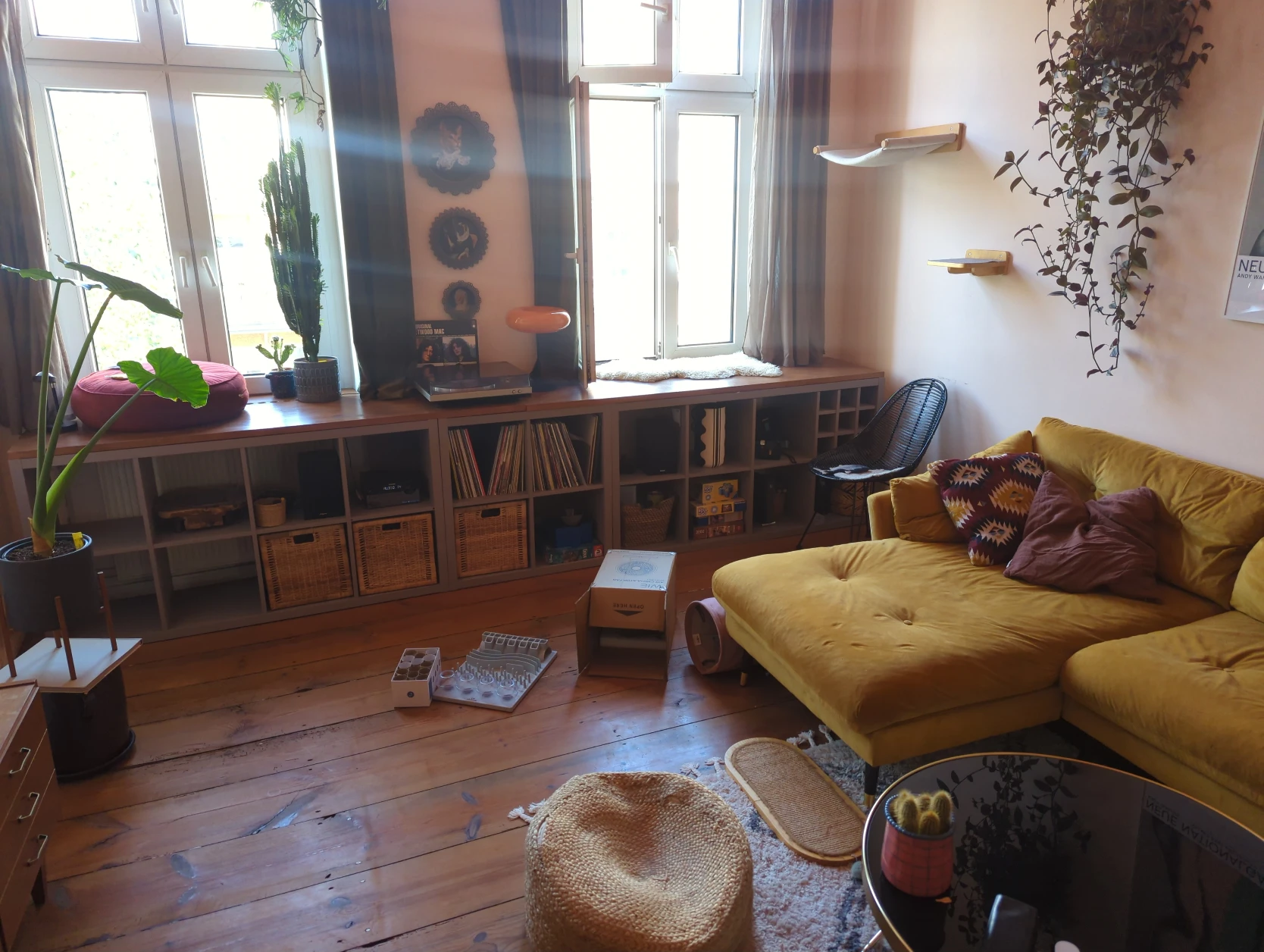 image-5