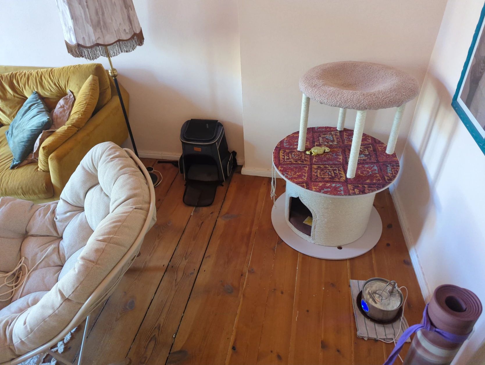 image-6