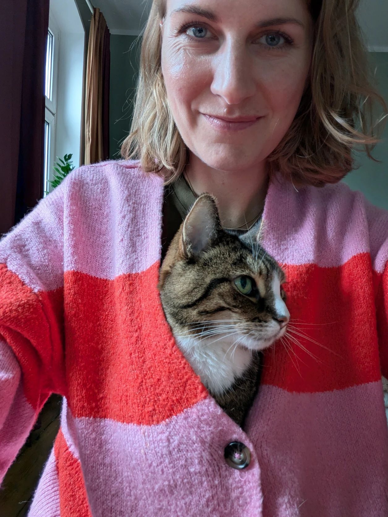 image-2
