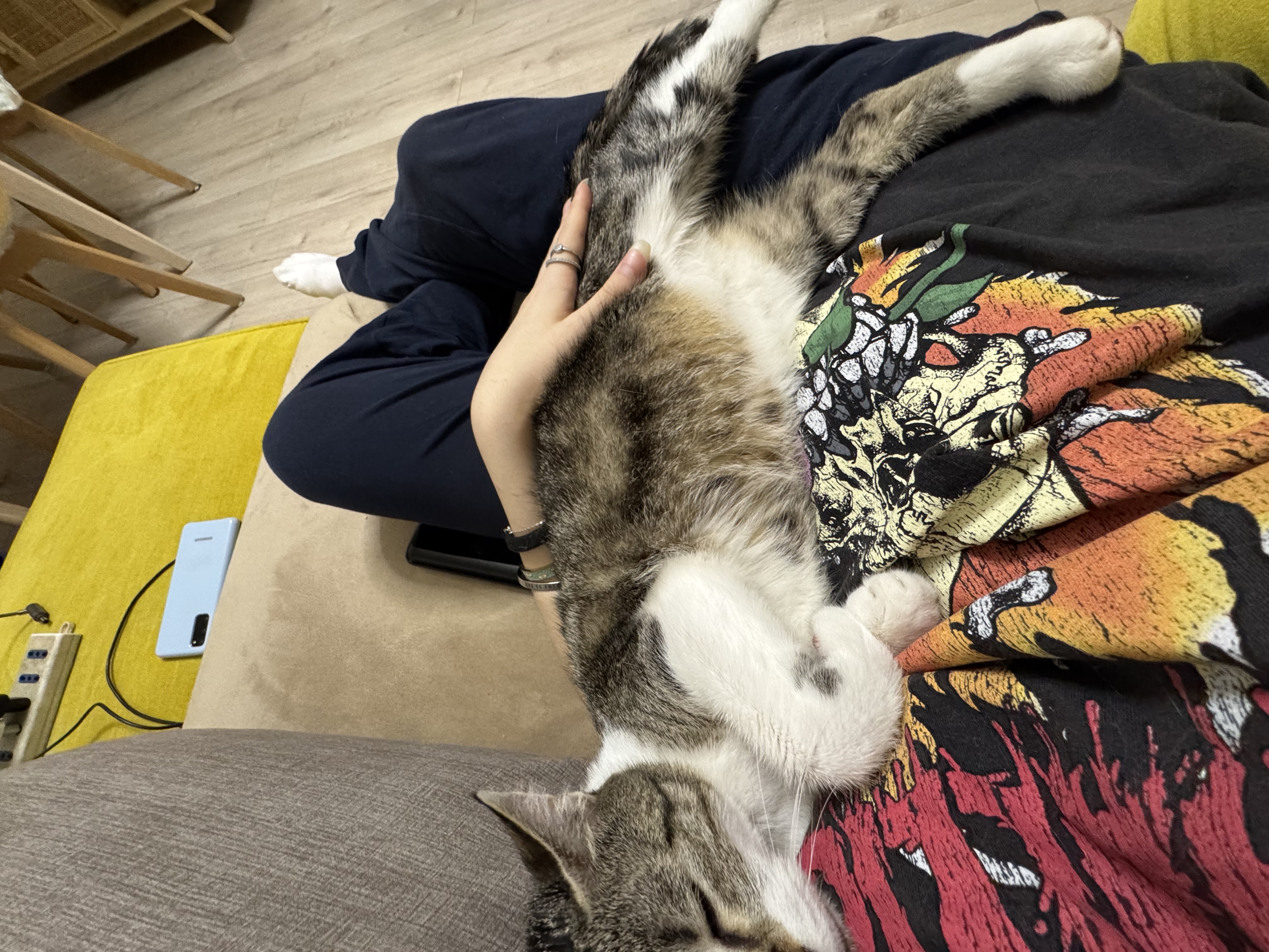 image-7