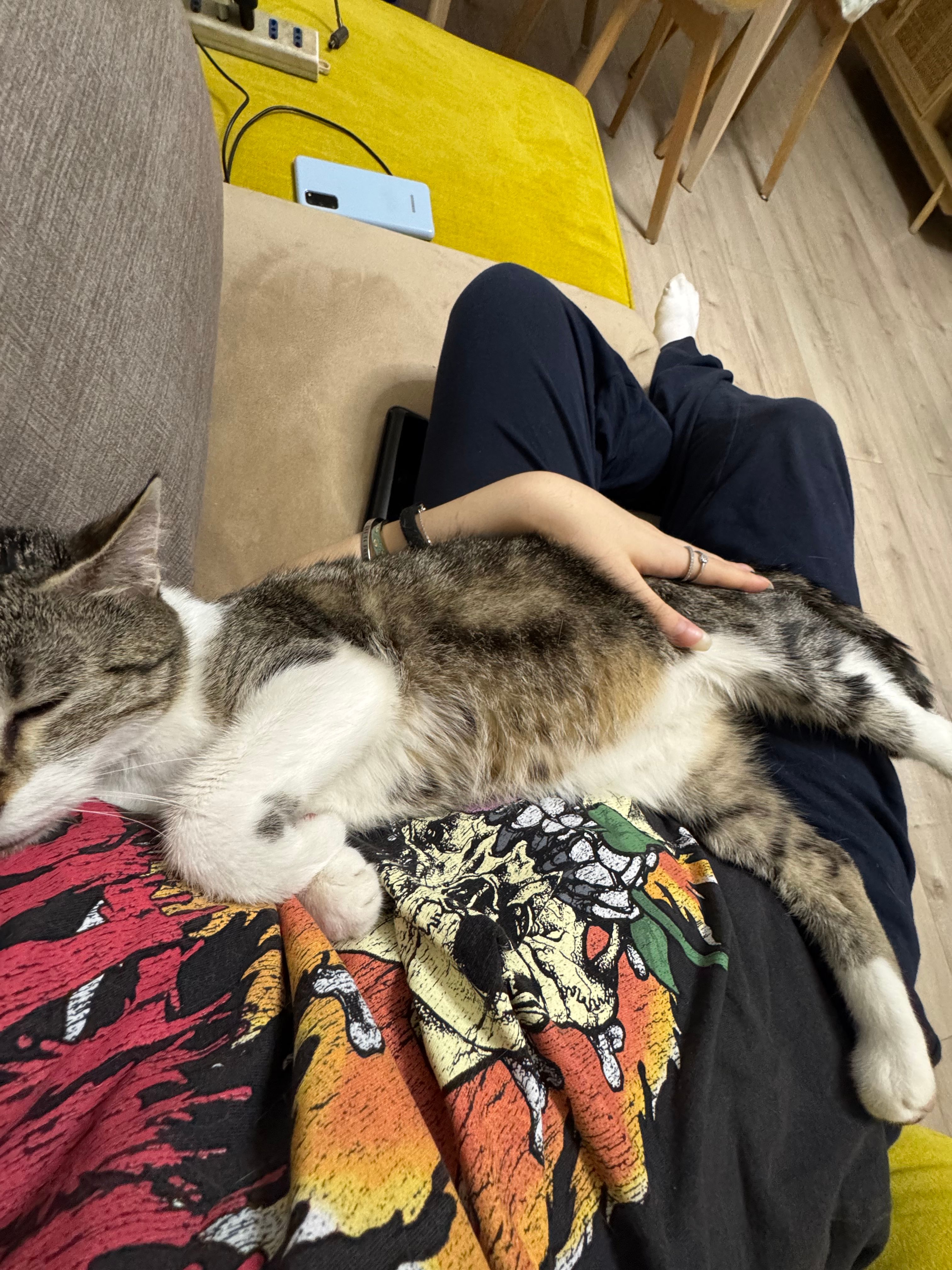 image-7