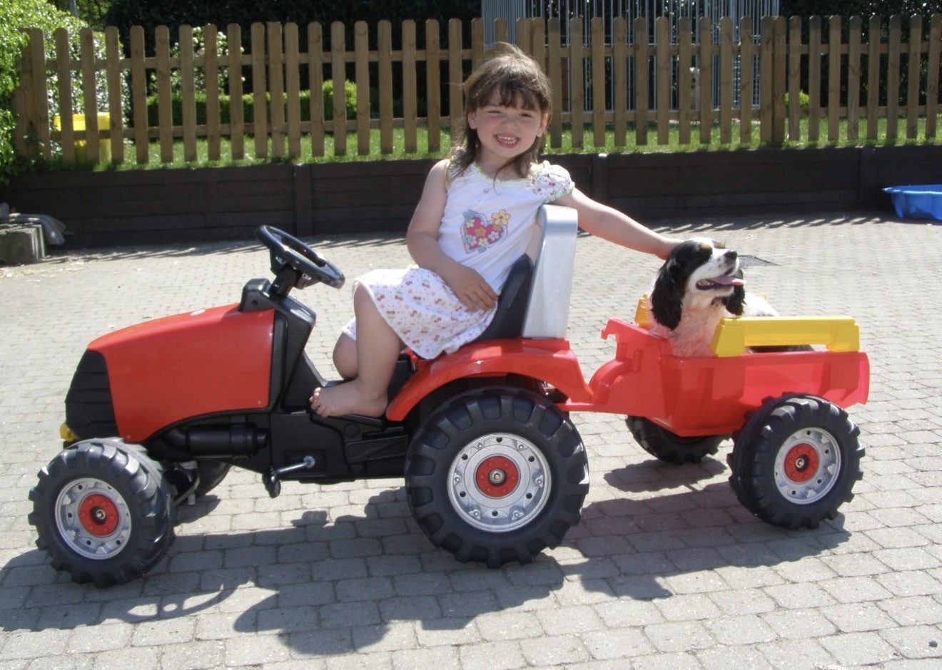 image-15