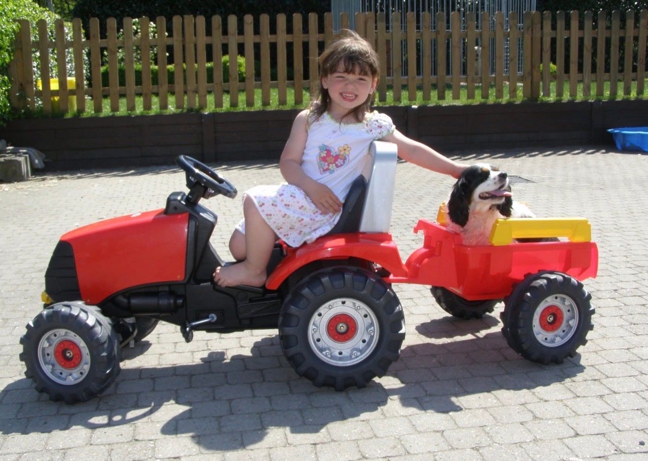 image-15