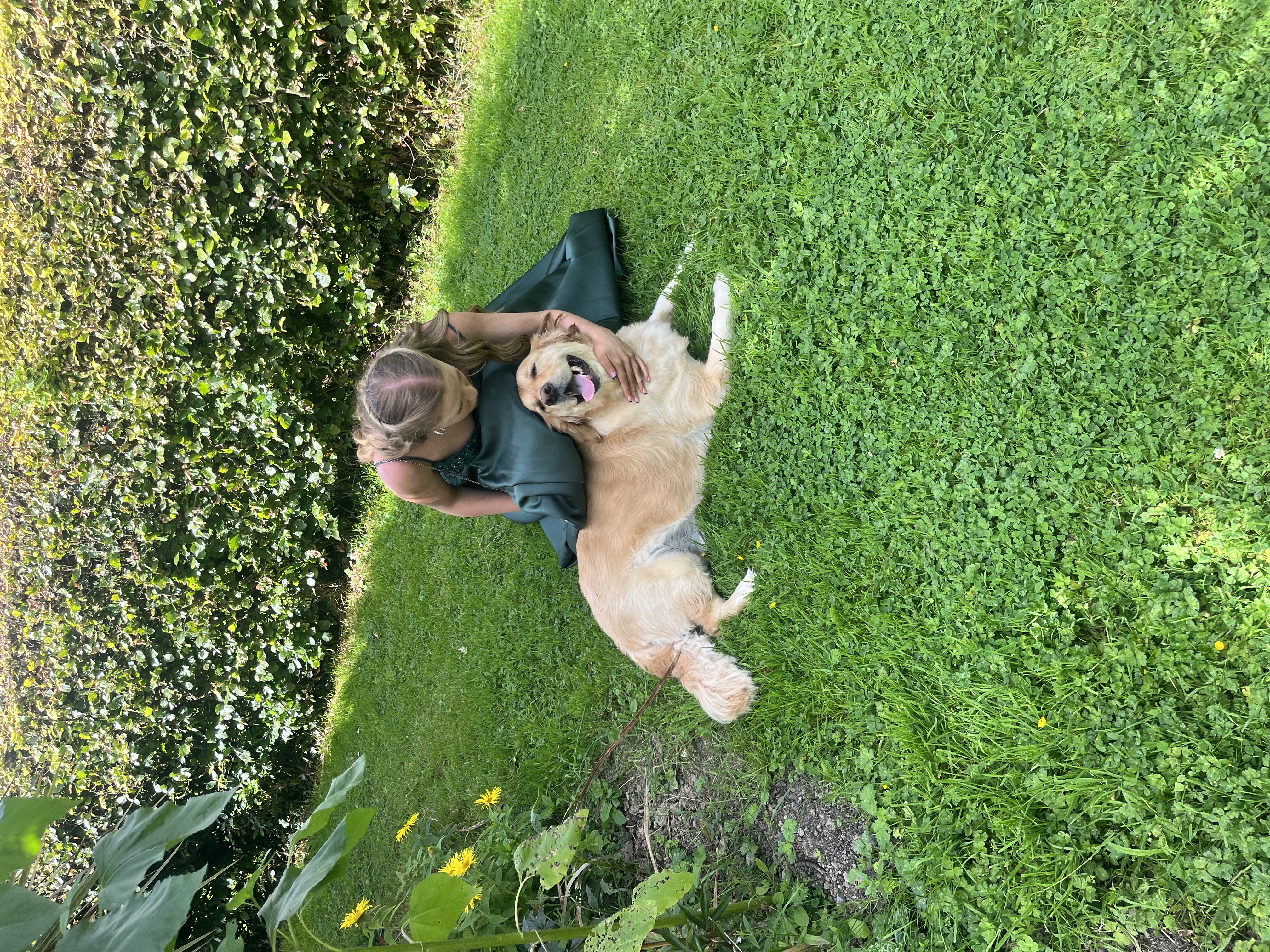 image-8