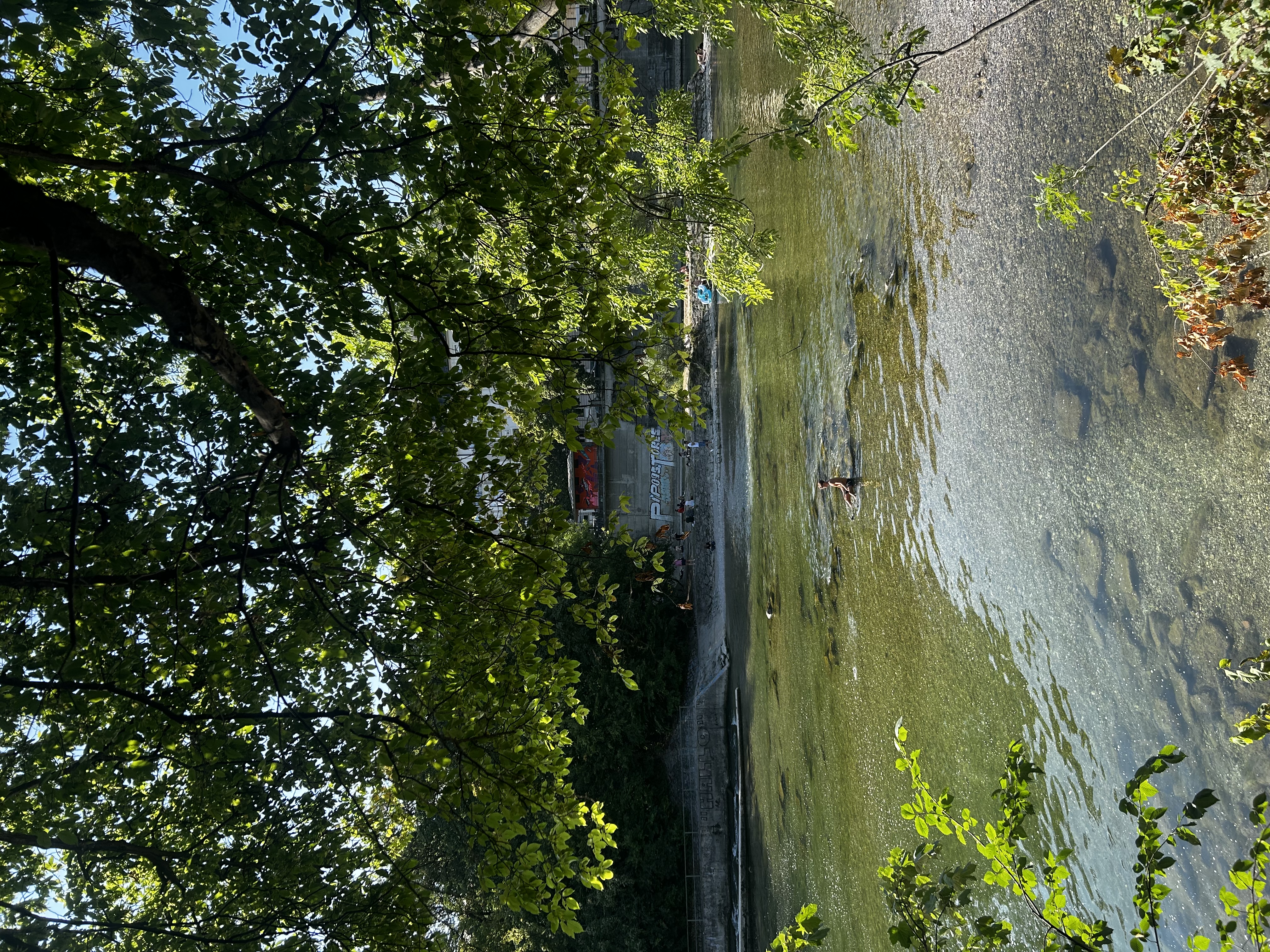 image-14