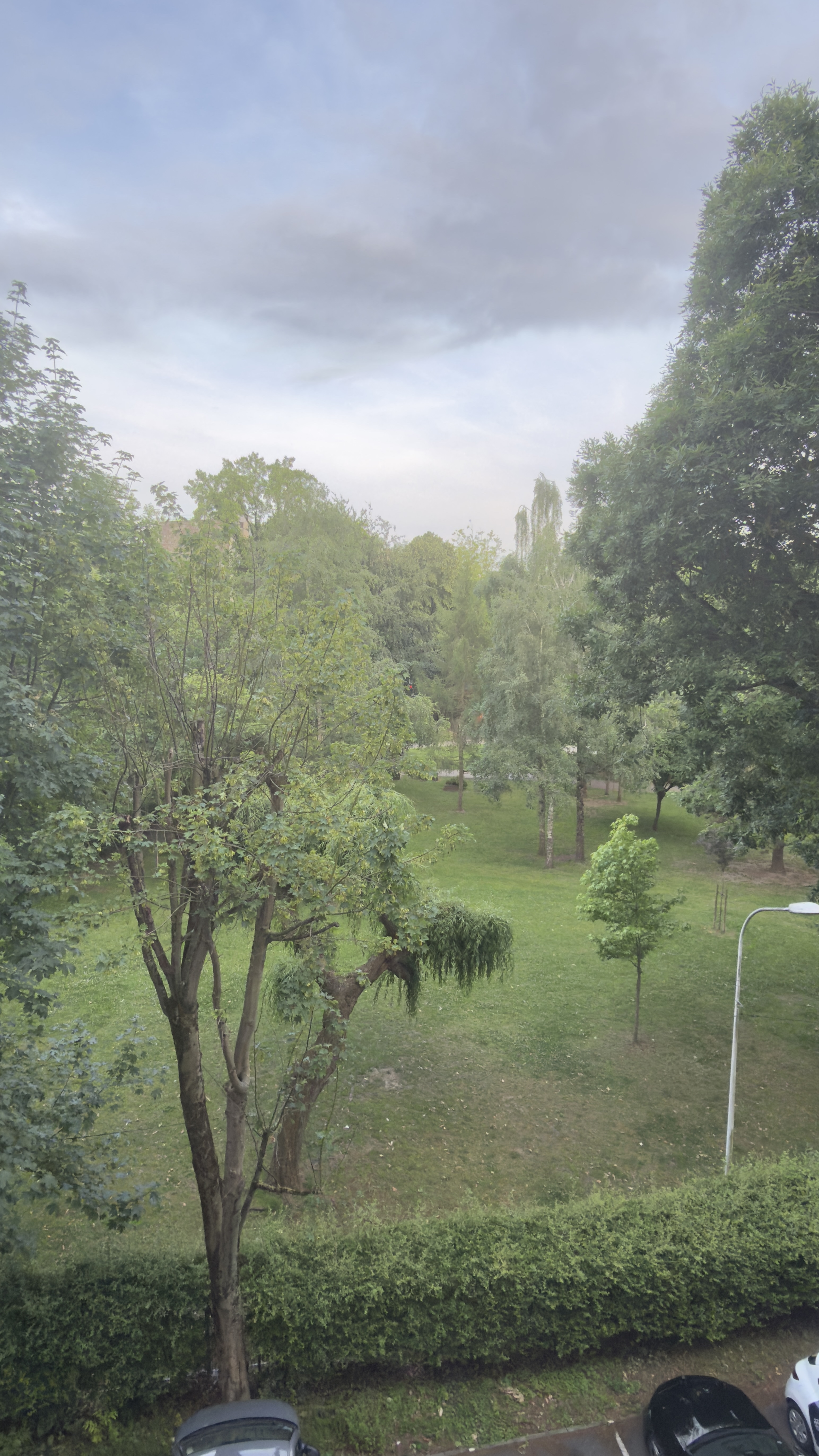 image-19