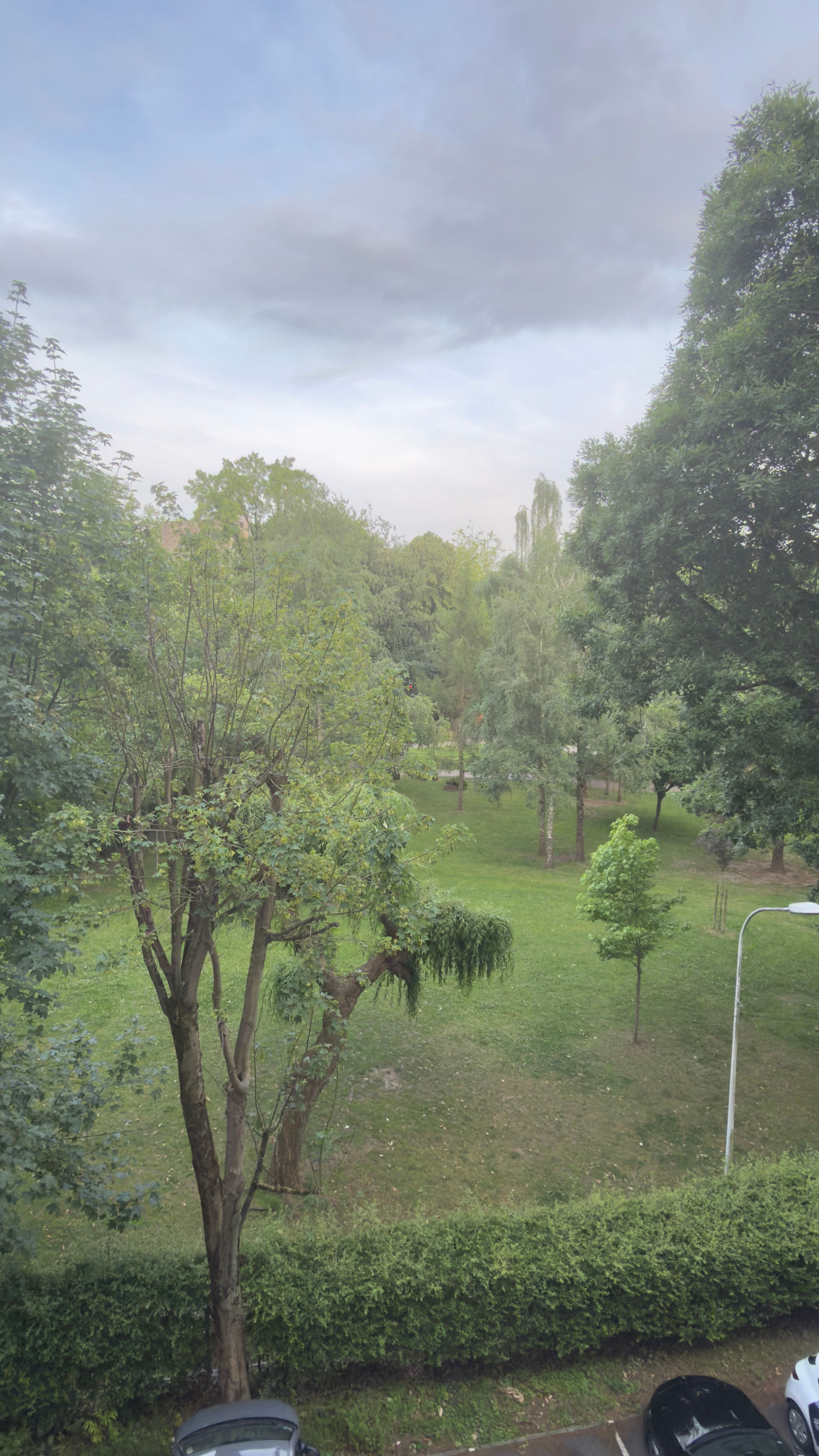 image-19