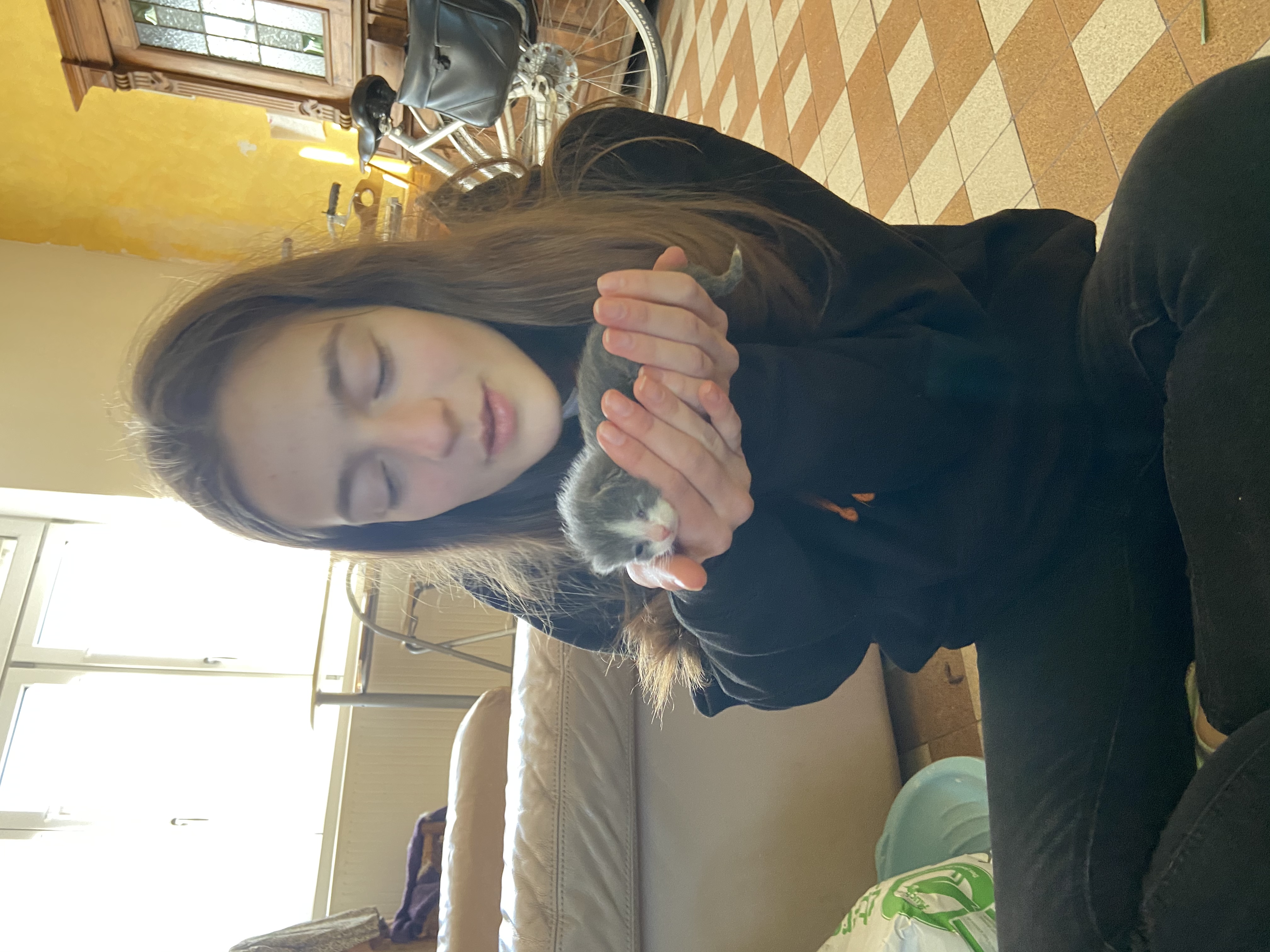 image-2