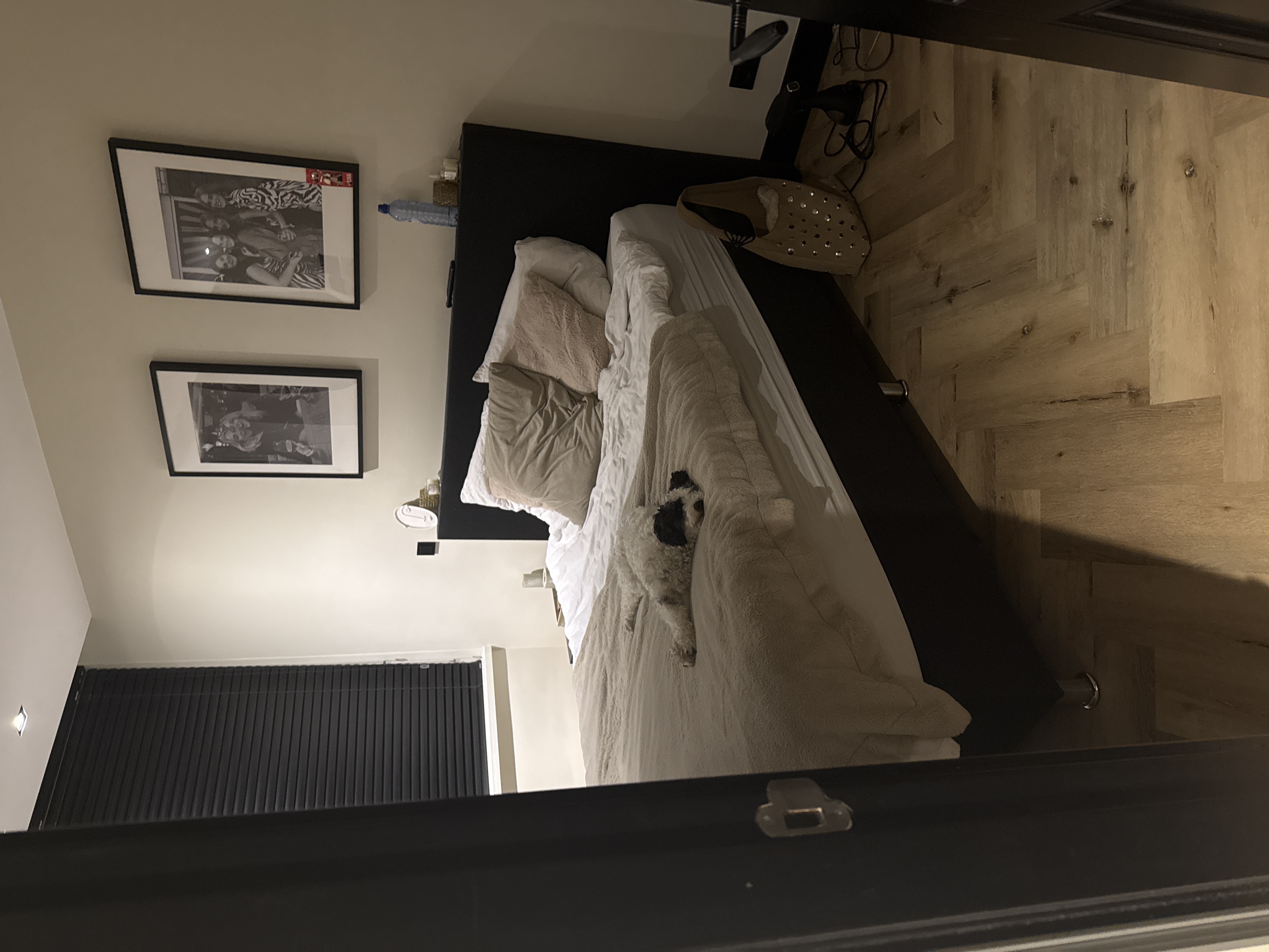 image-13