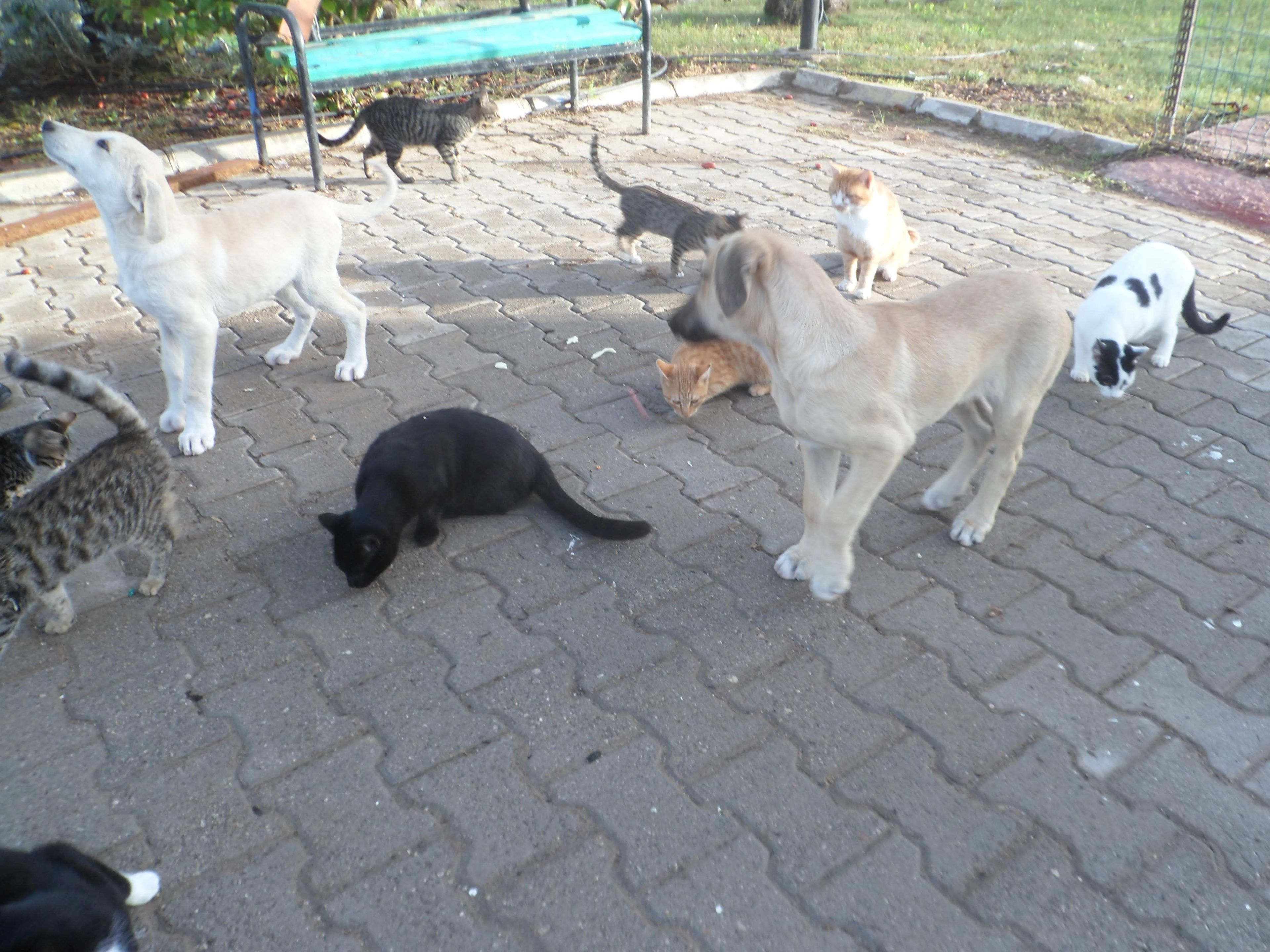 image-5