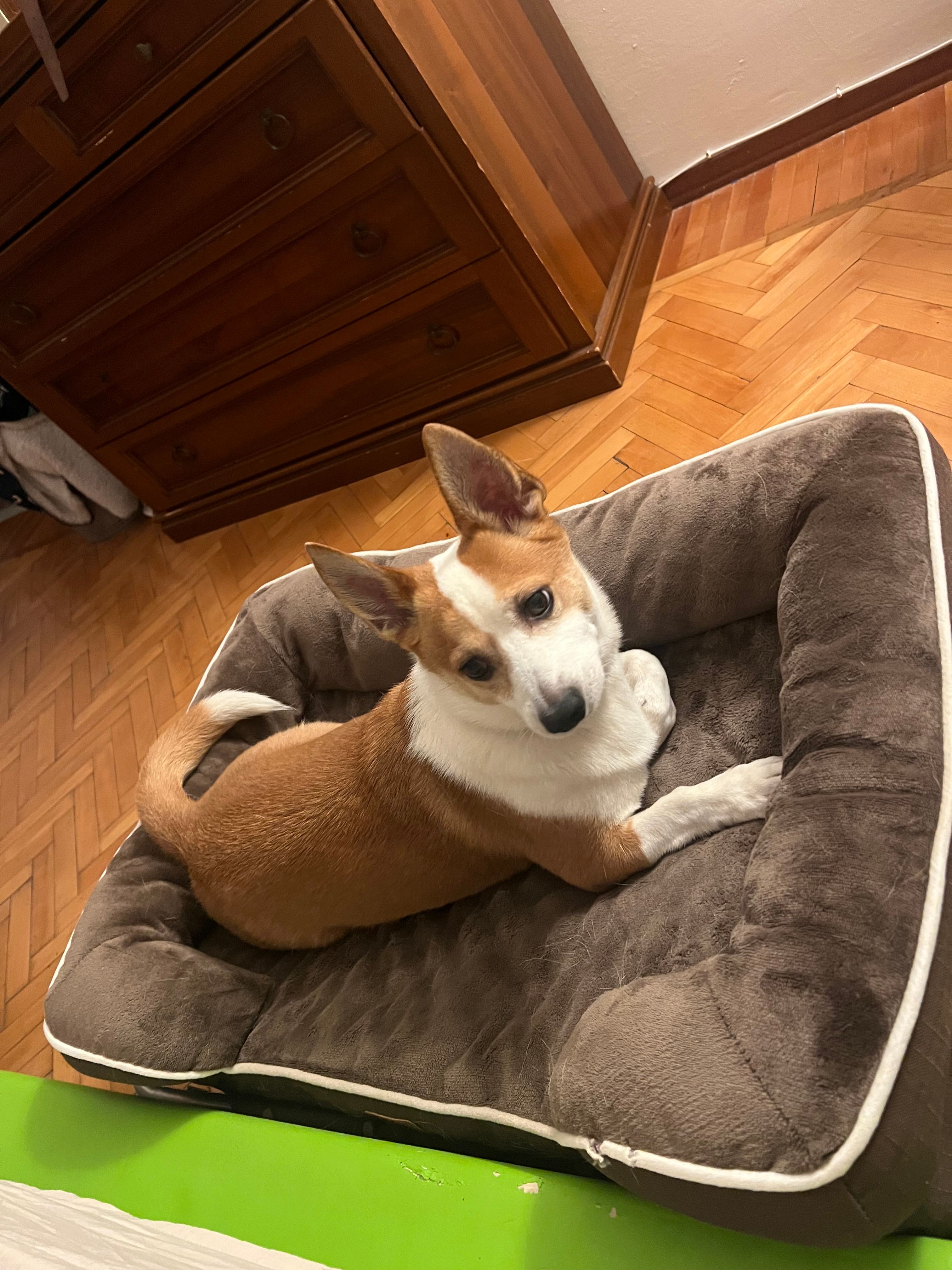 image-9