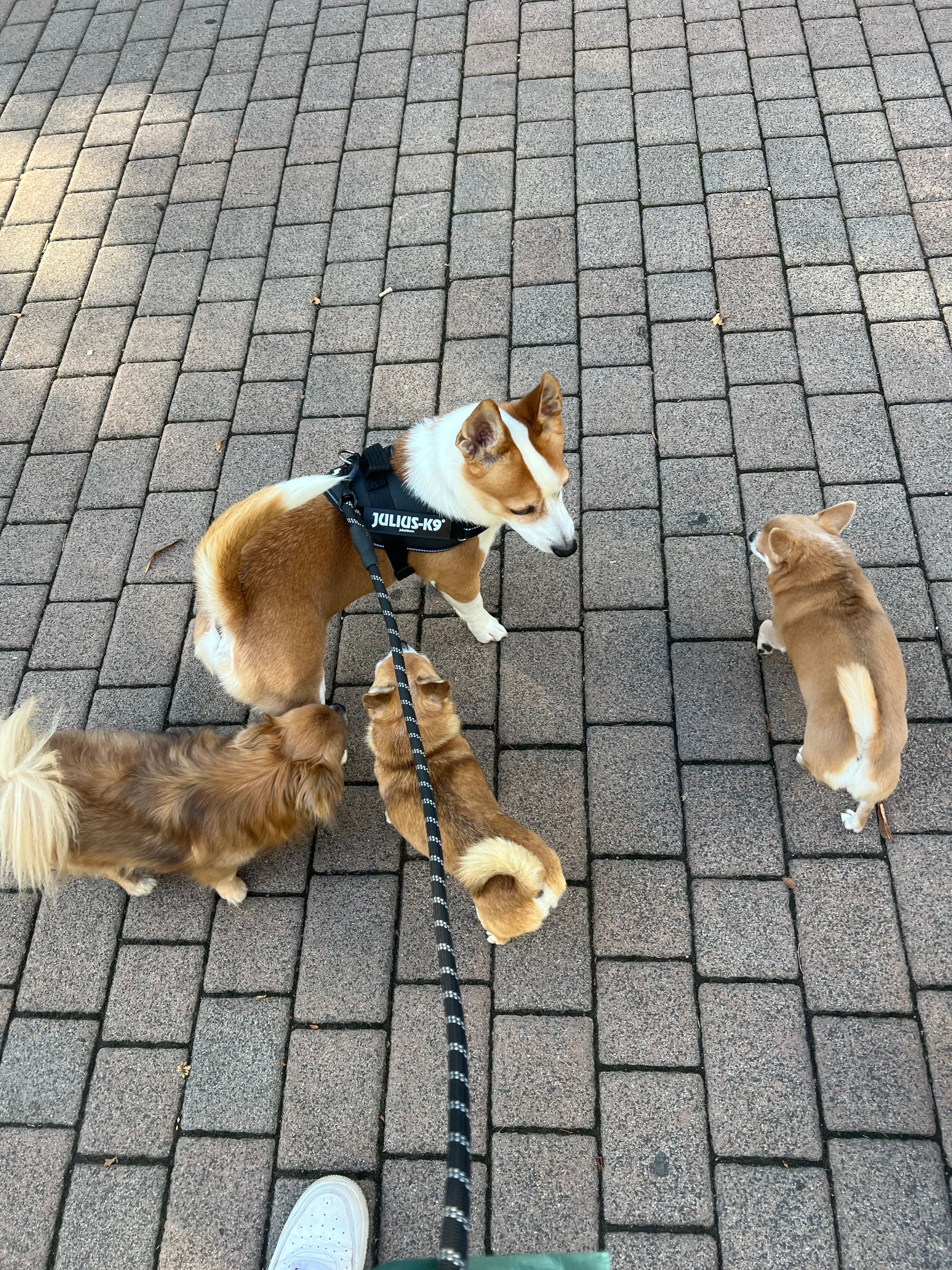 image-7