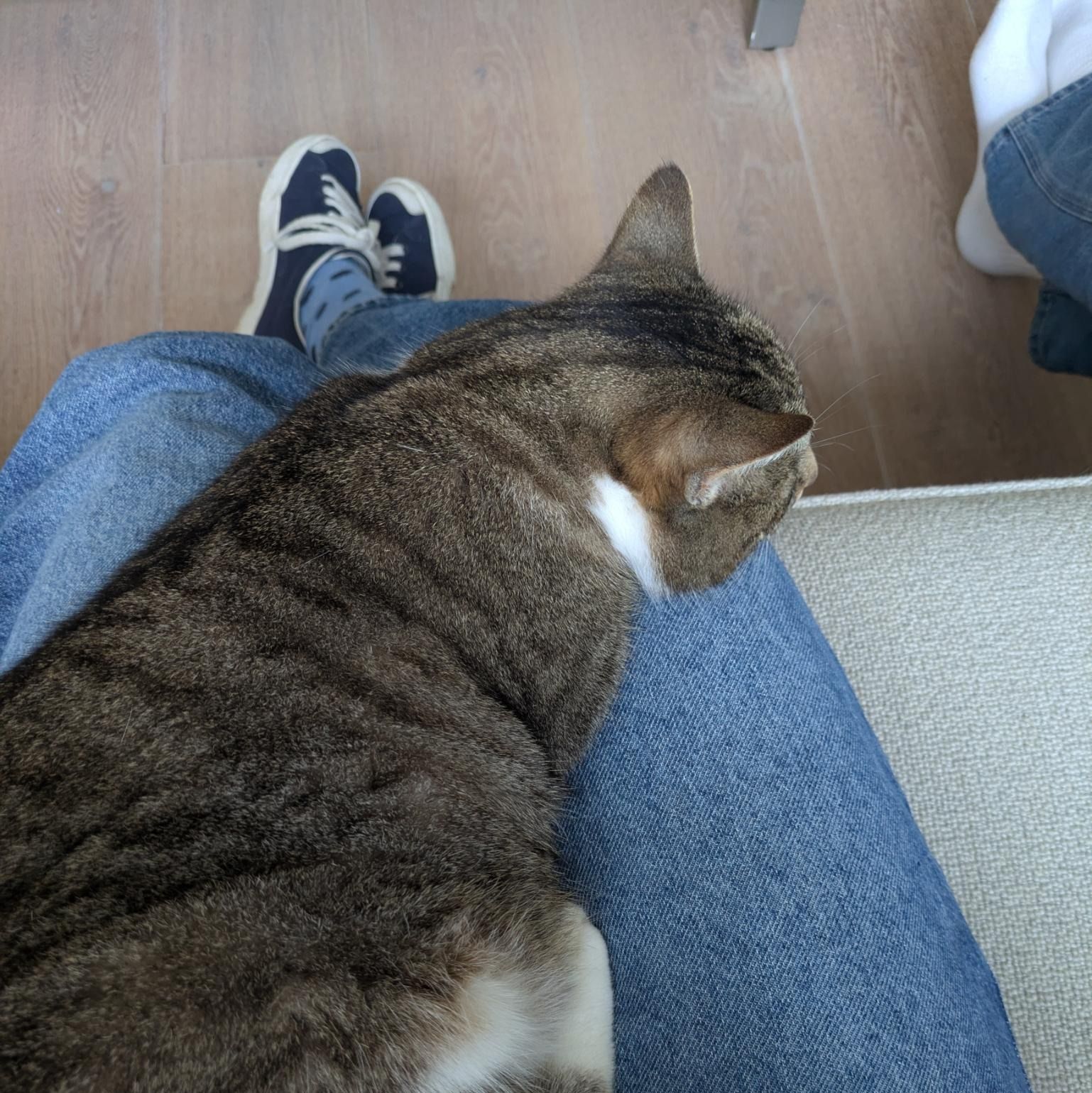 image-7