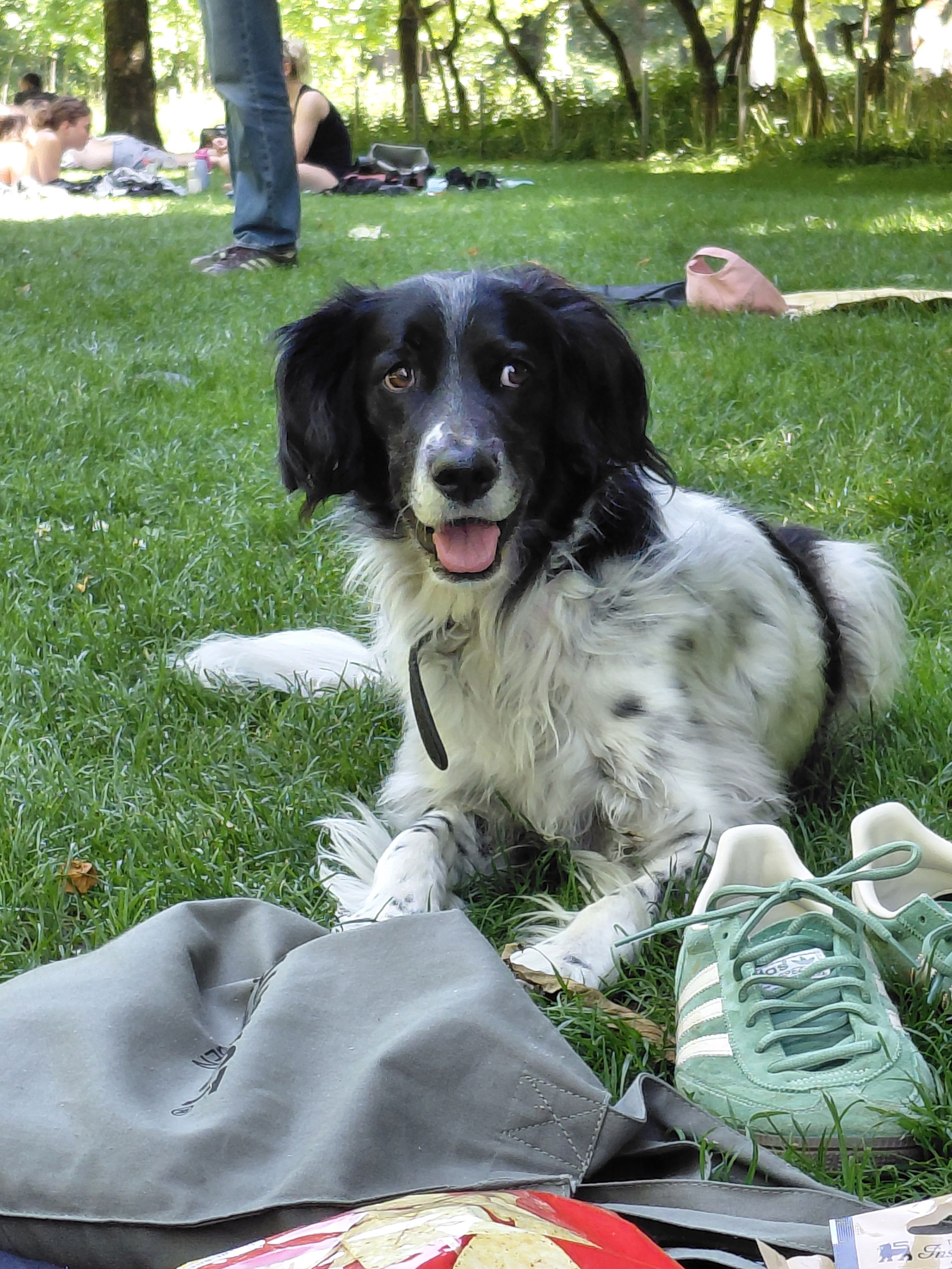 image-5