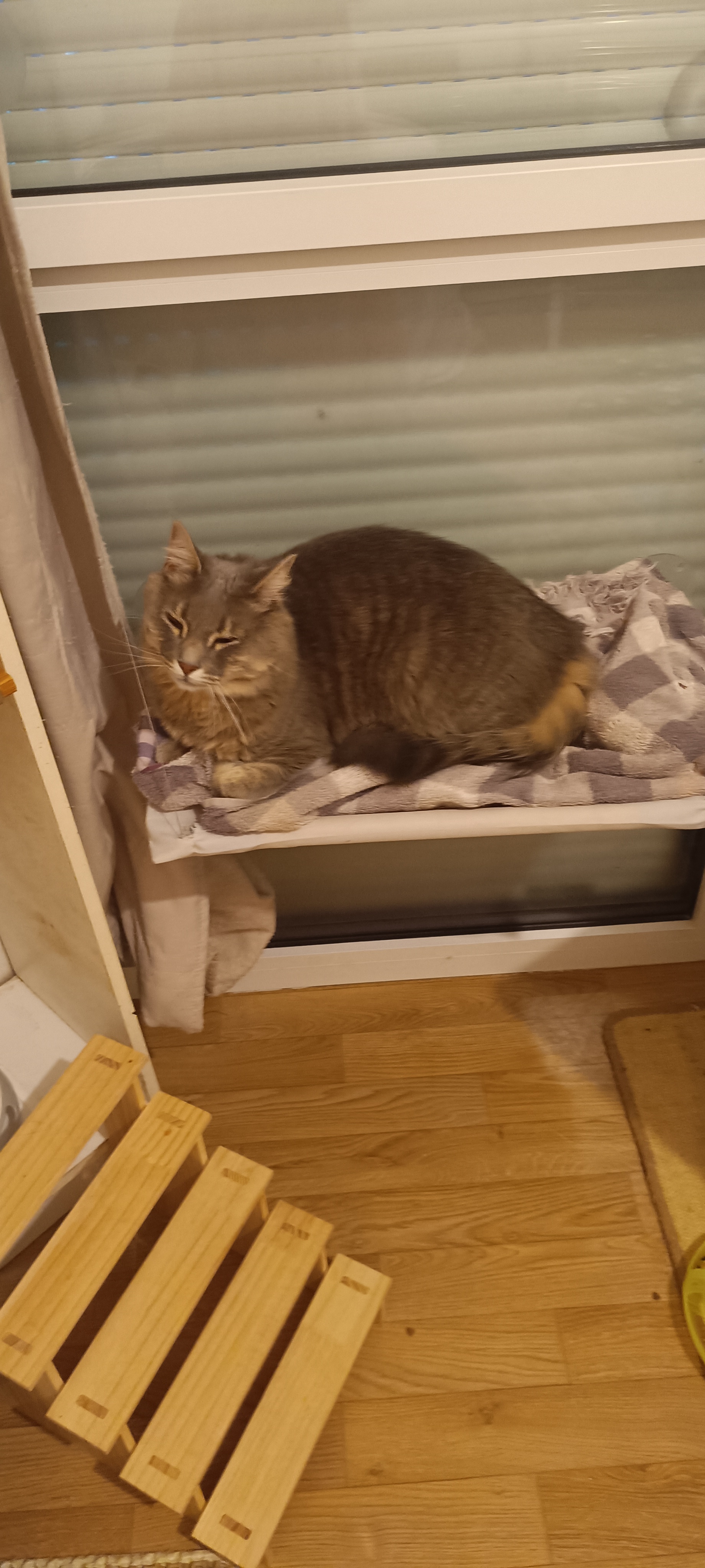 image-5