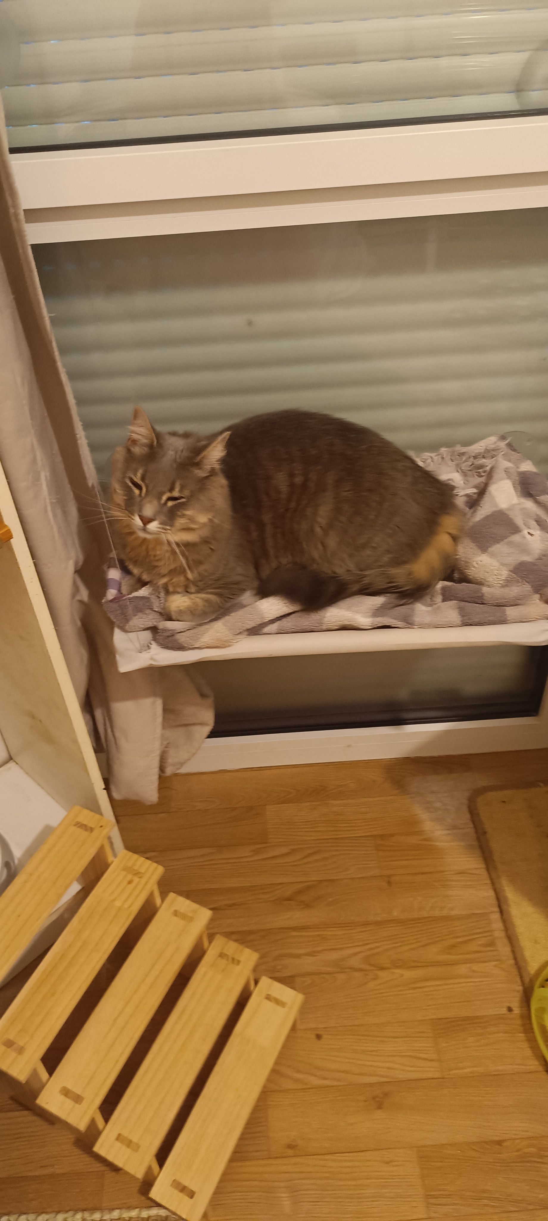 image-5