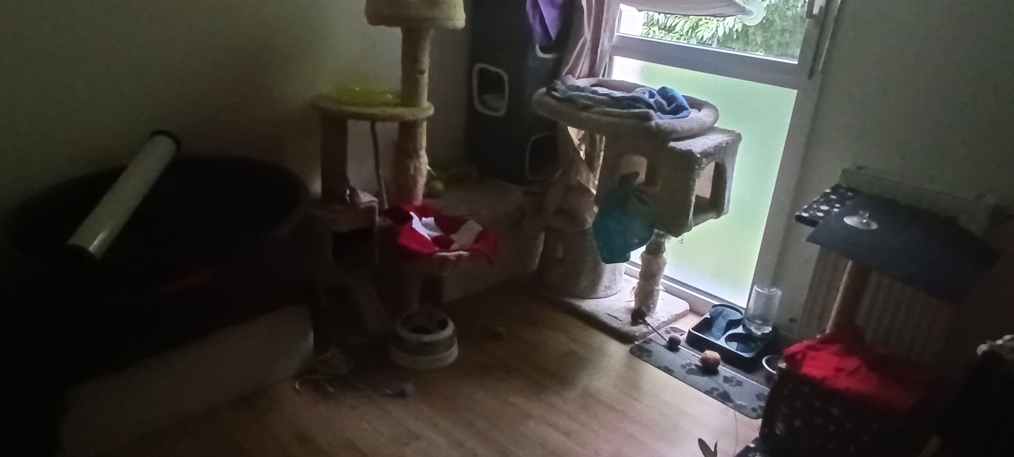 image-14