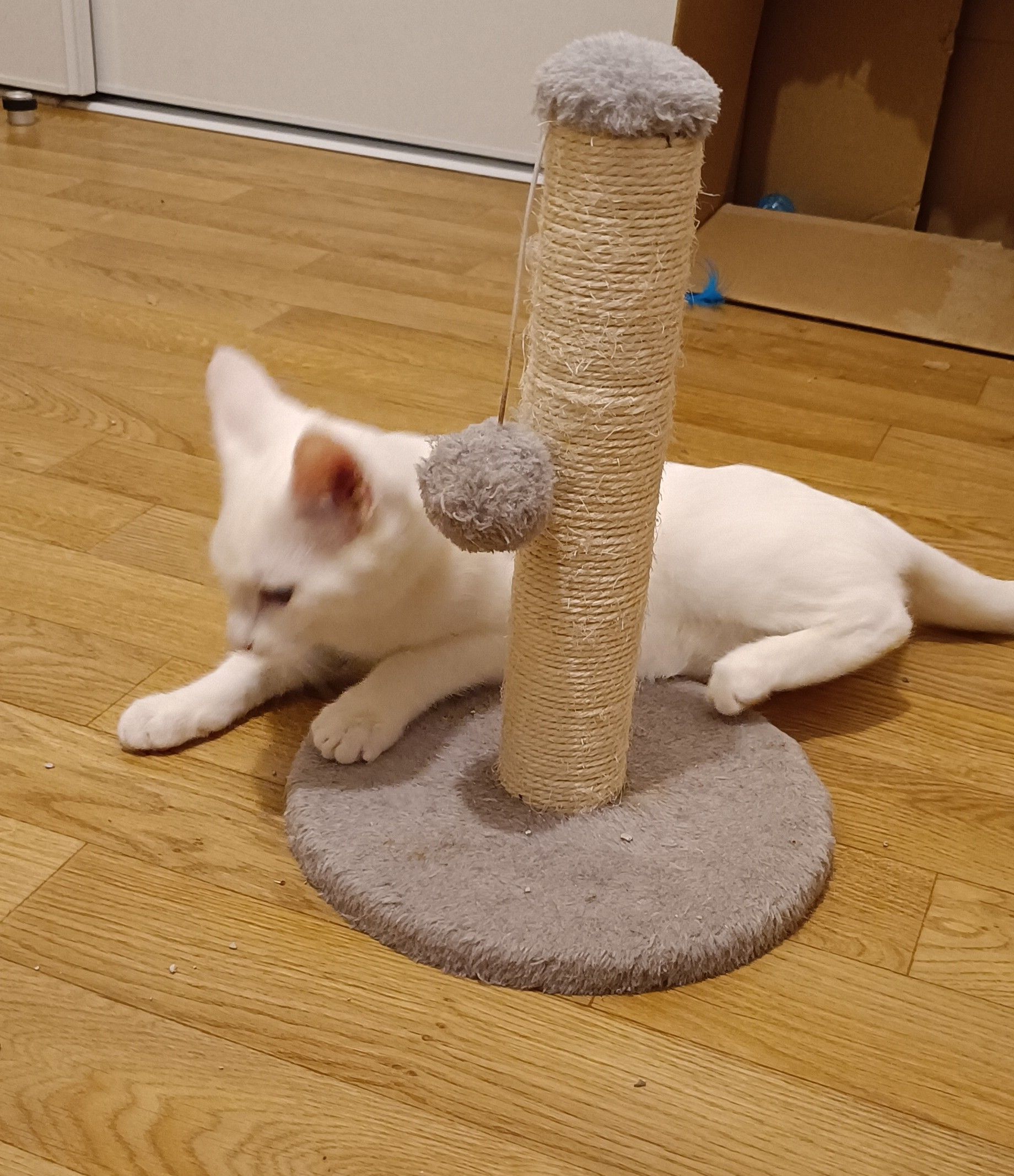 image-7