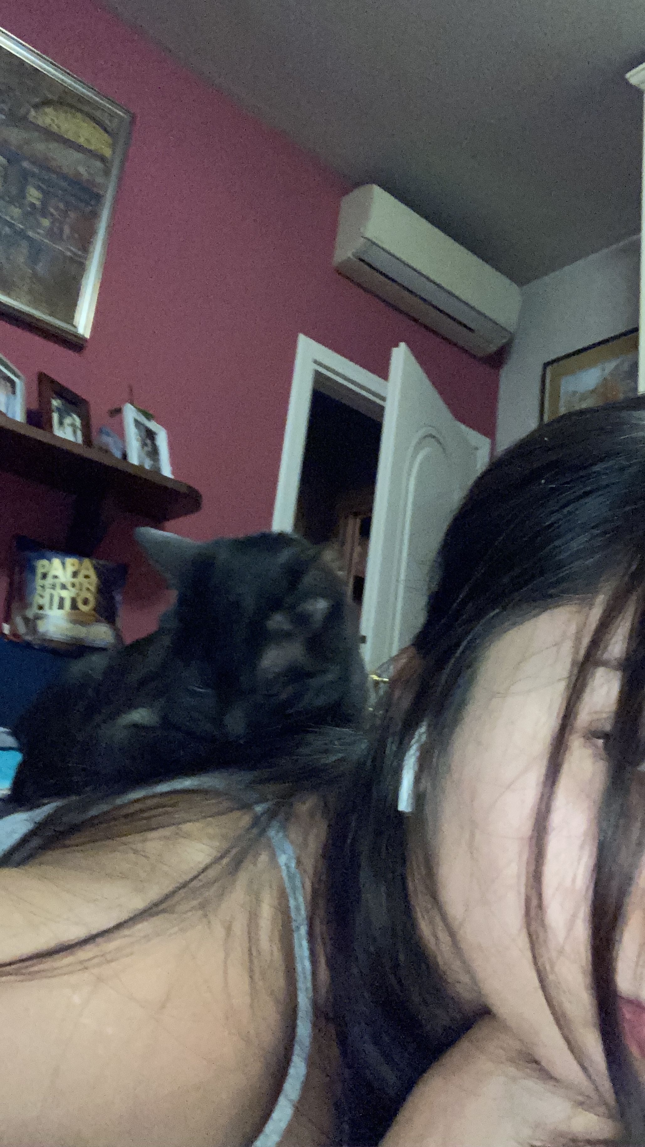 image-6