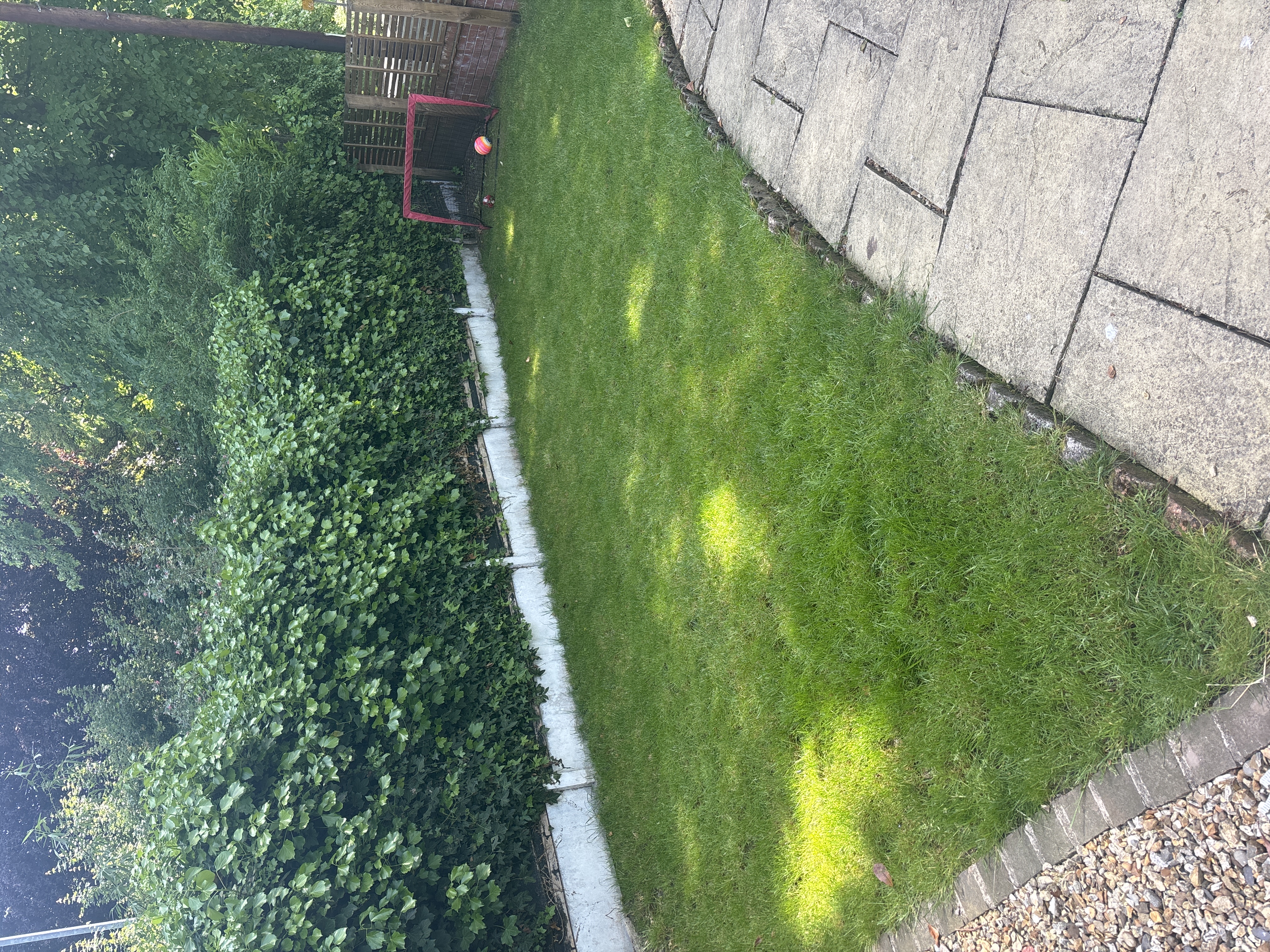 image-8