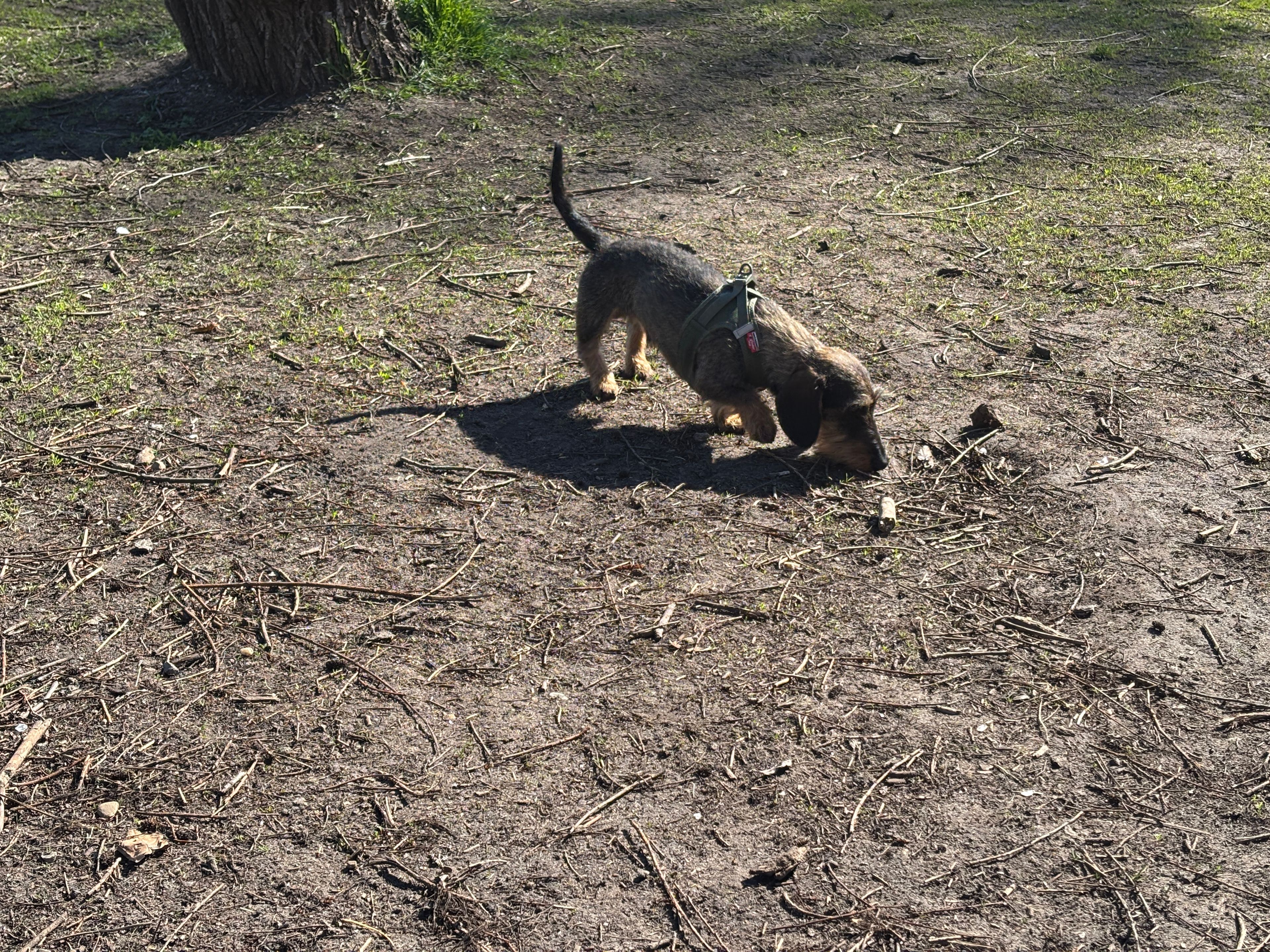 image-7